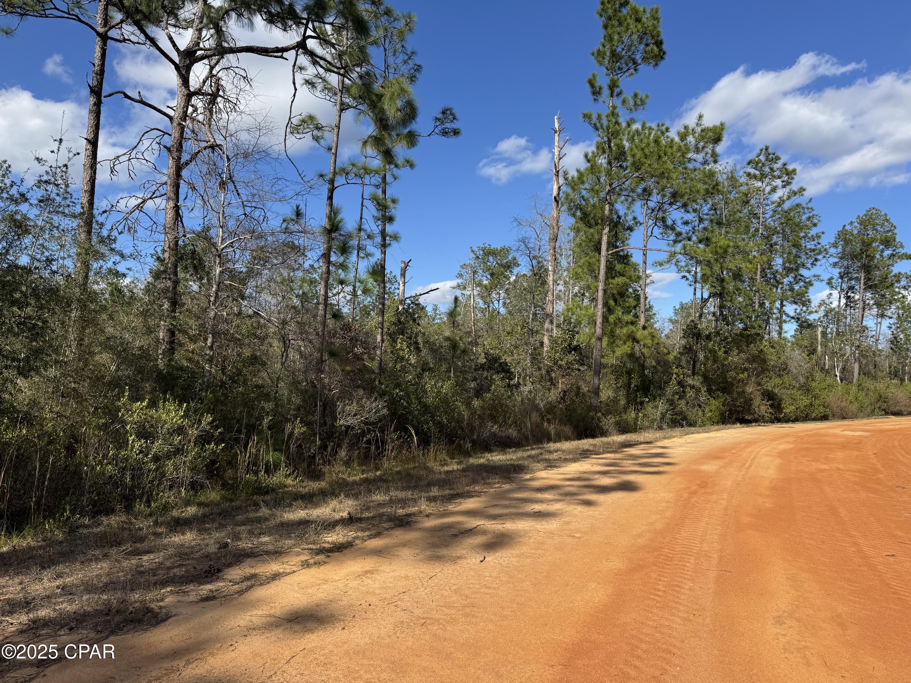 Grand Mesa Avenue, Alford, Florida image 3