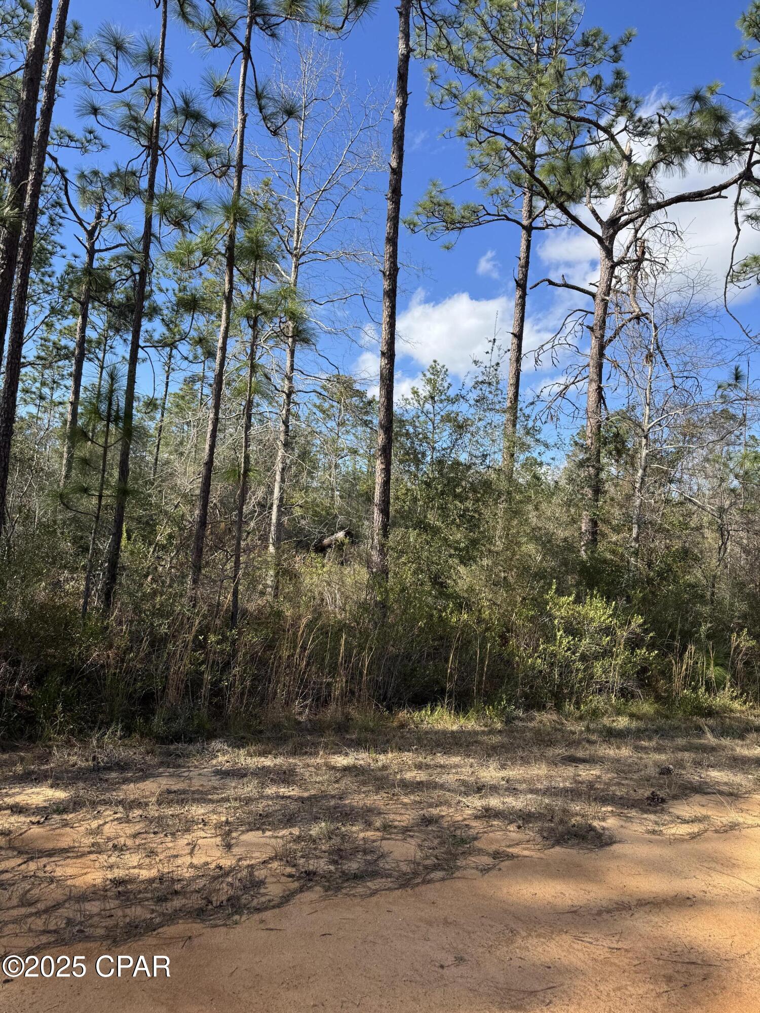 Grand Mesa Avenue, Alford, Florida image 4