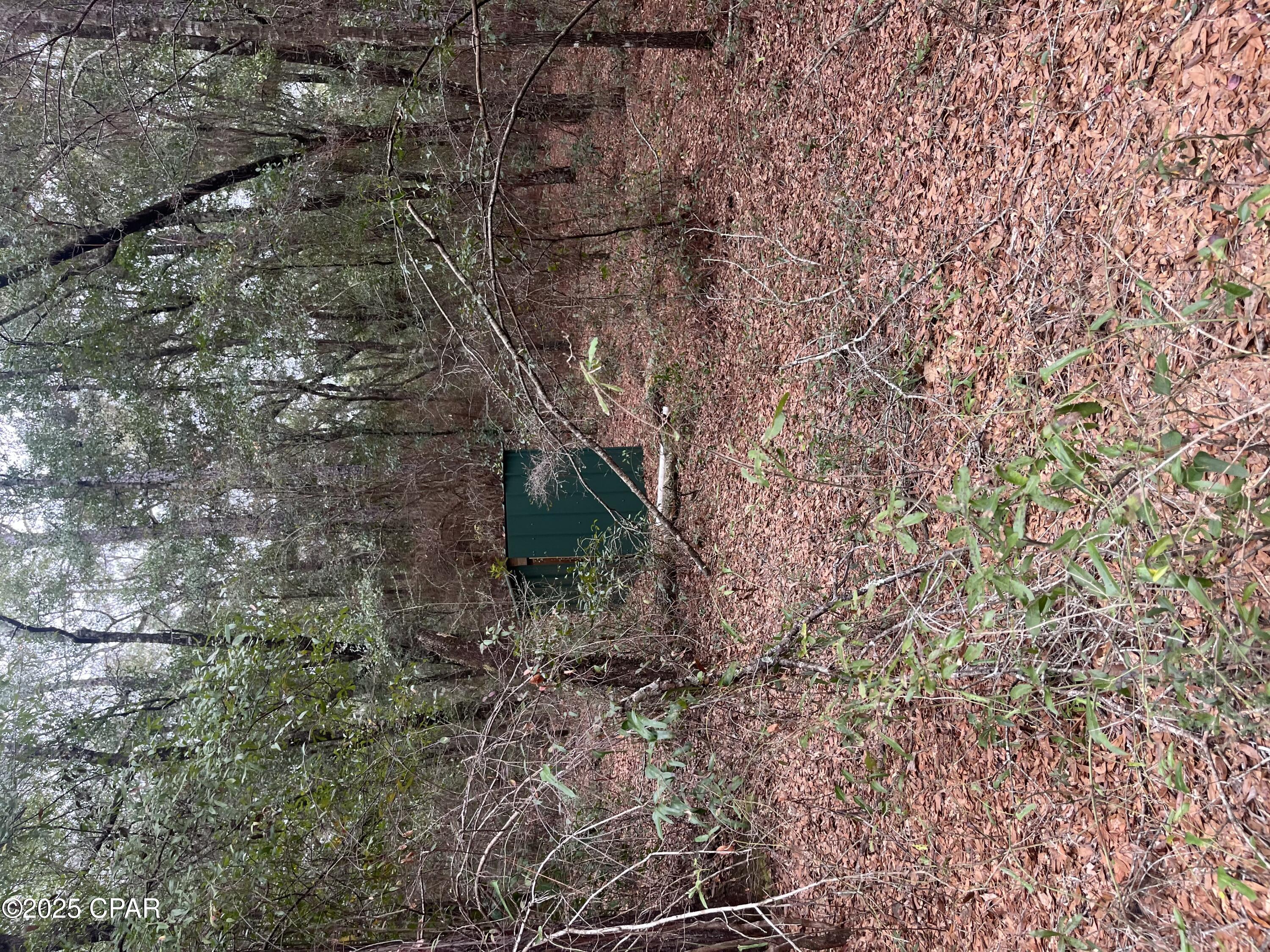 426 Fox Lane, Holt, Florida image 2
