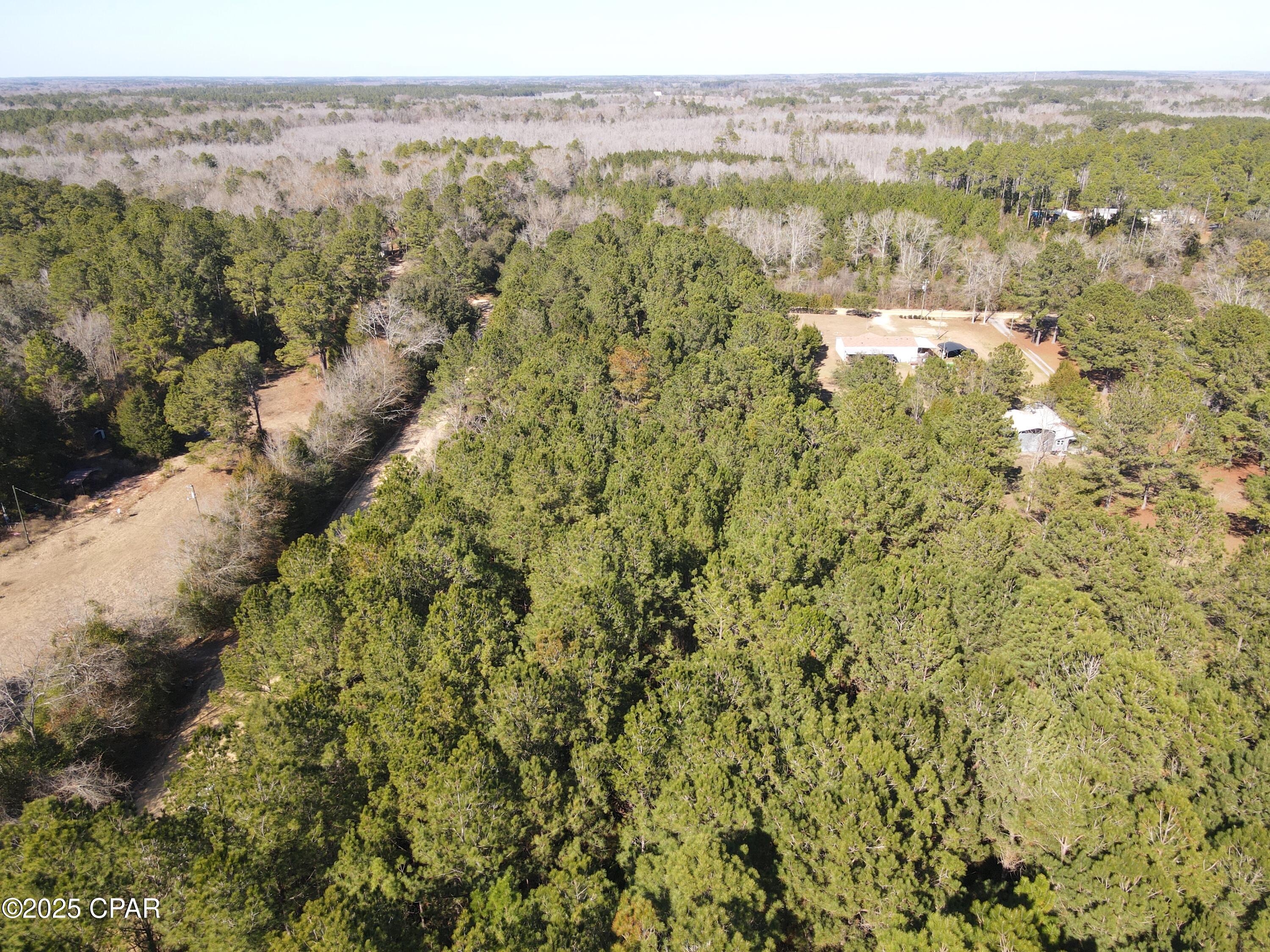 Moss Road, Bonifay, Florida image 3