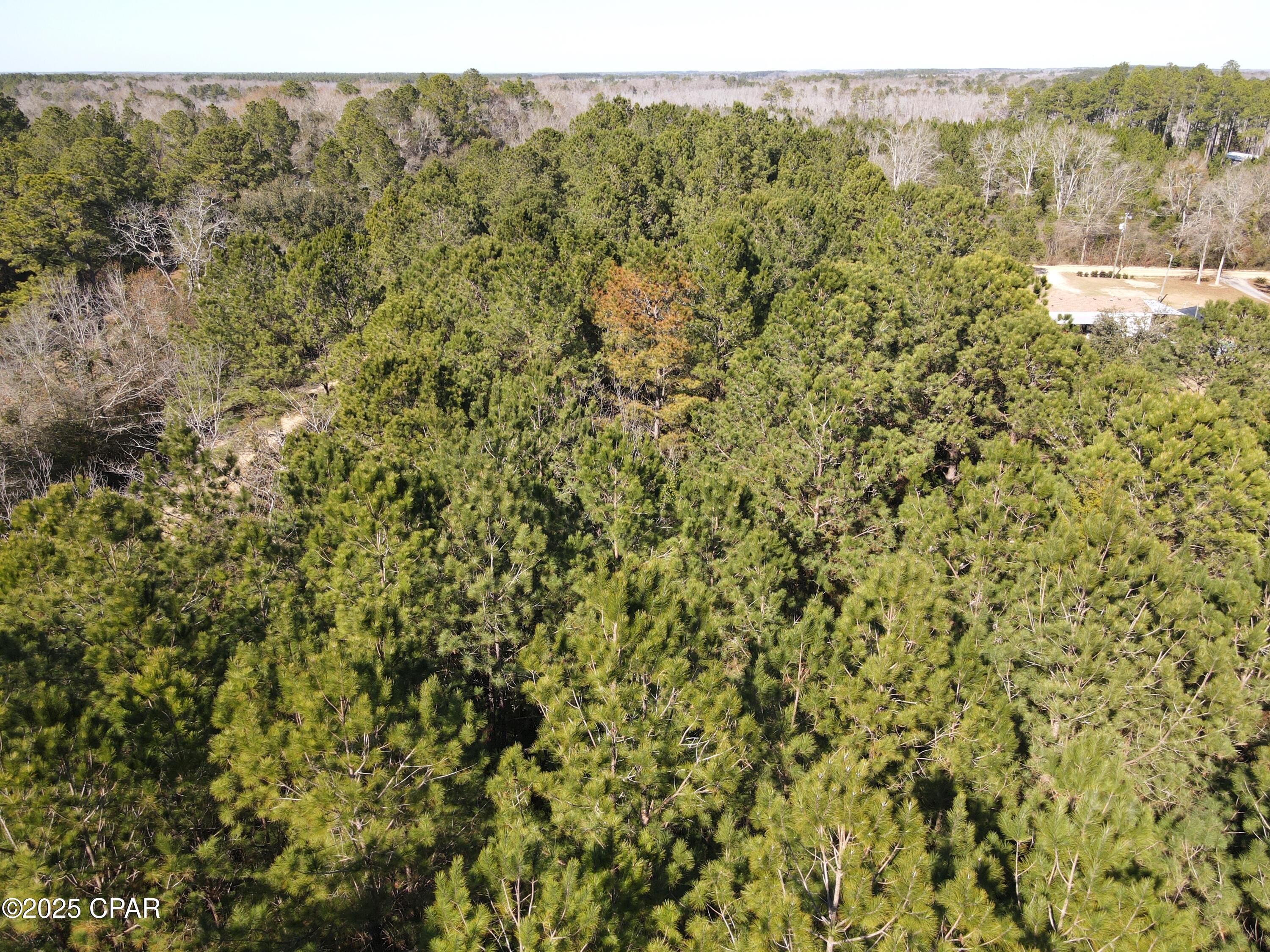 Moss Road, Bonifay, Florida image 6