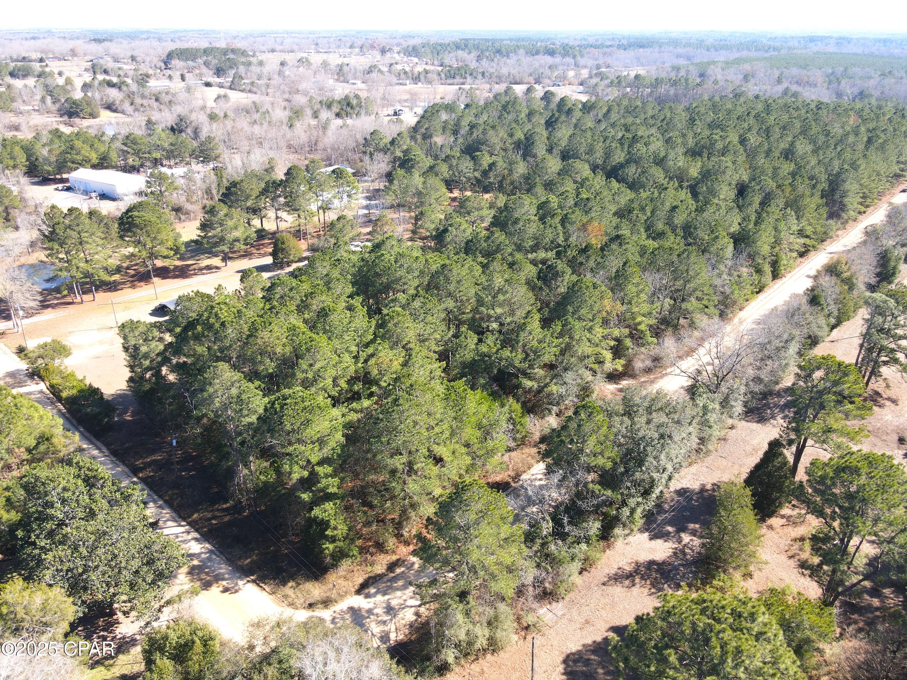 Moss Road, Bonifay, Florida image 7