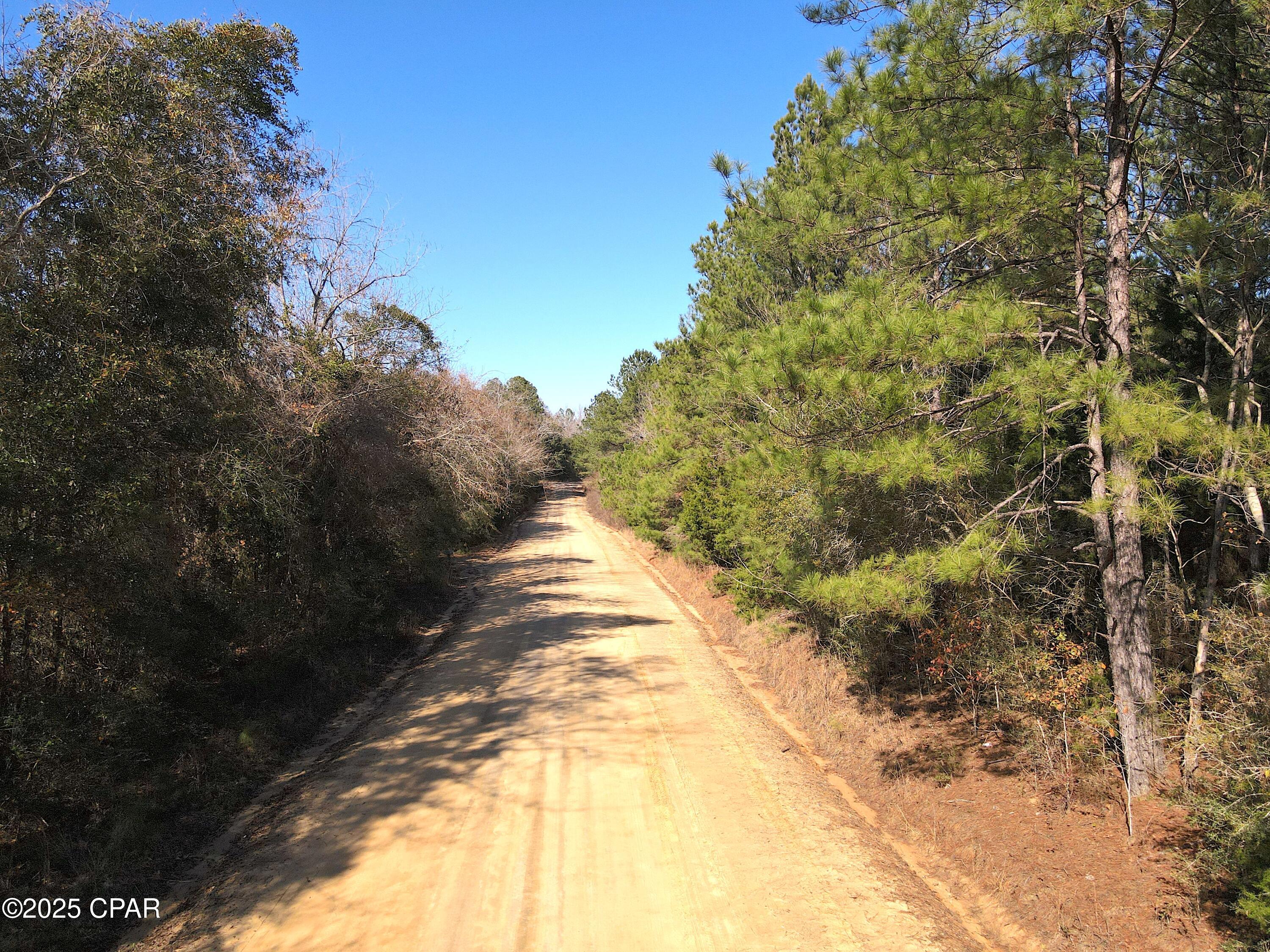 Moss Road, Bonifay, Florida image 9