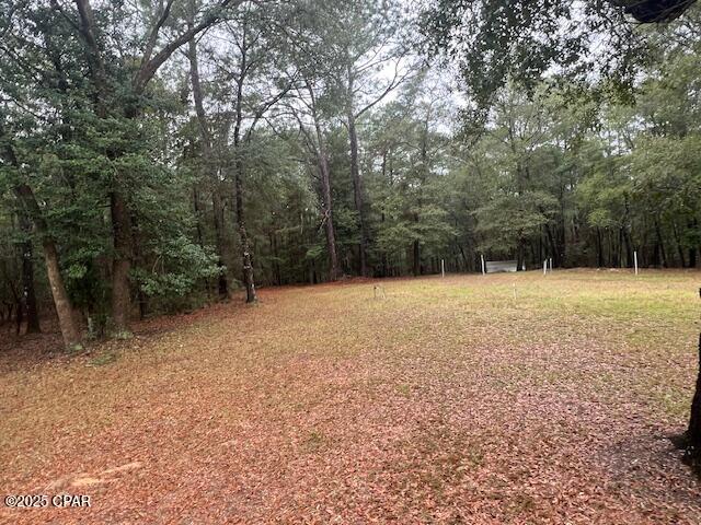 3962 A Moss Hill Road, Chipley, Florida image 27