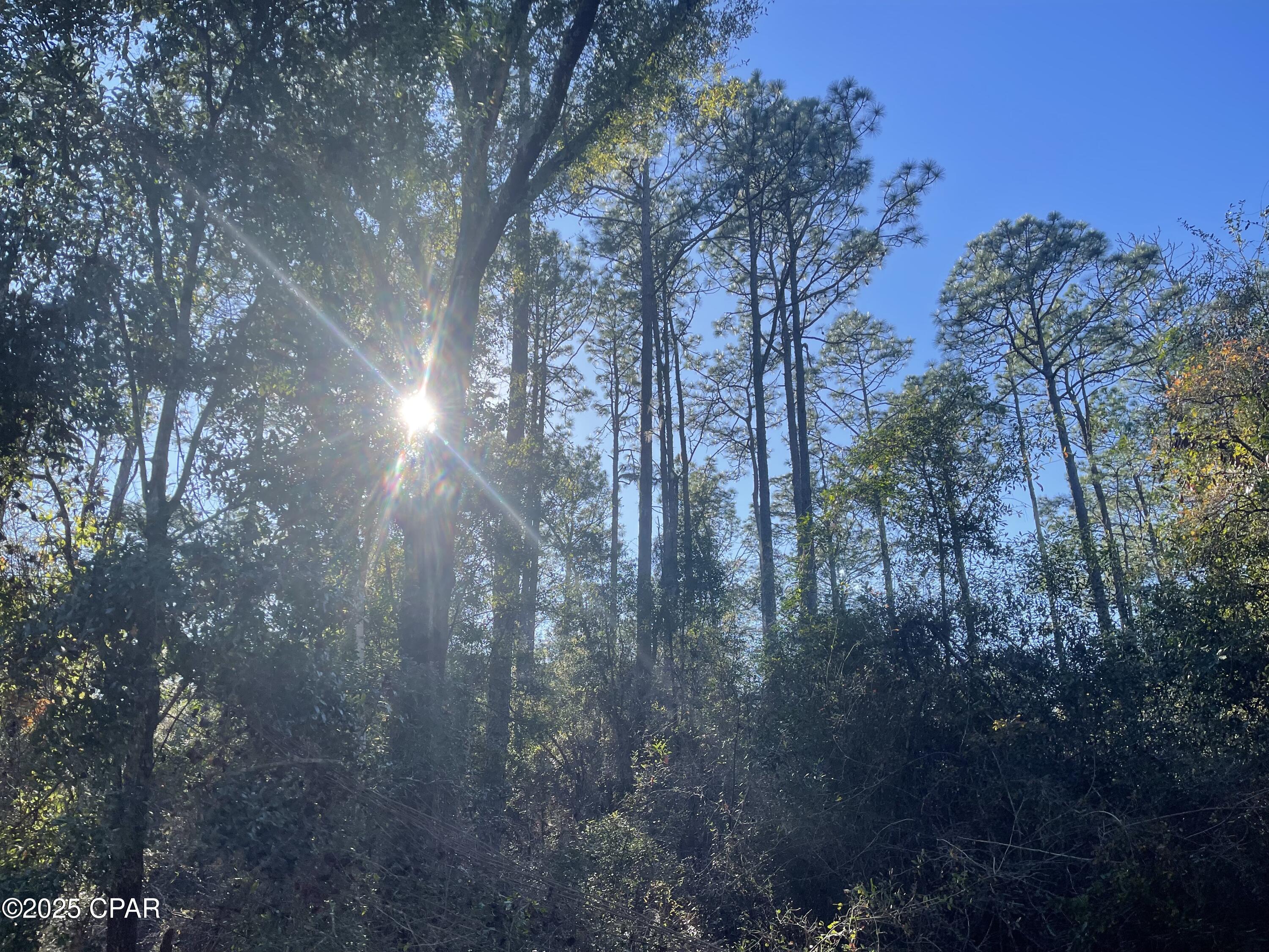 Details for 0000 Hilltop Drive, Caryville, FL 32425