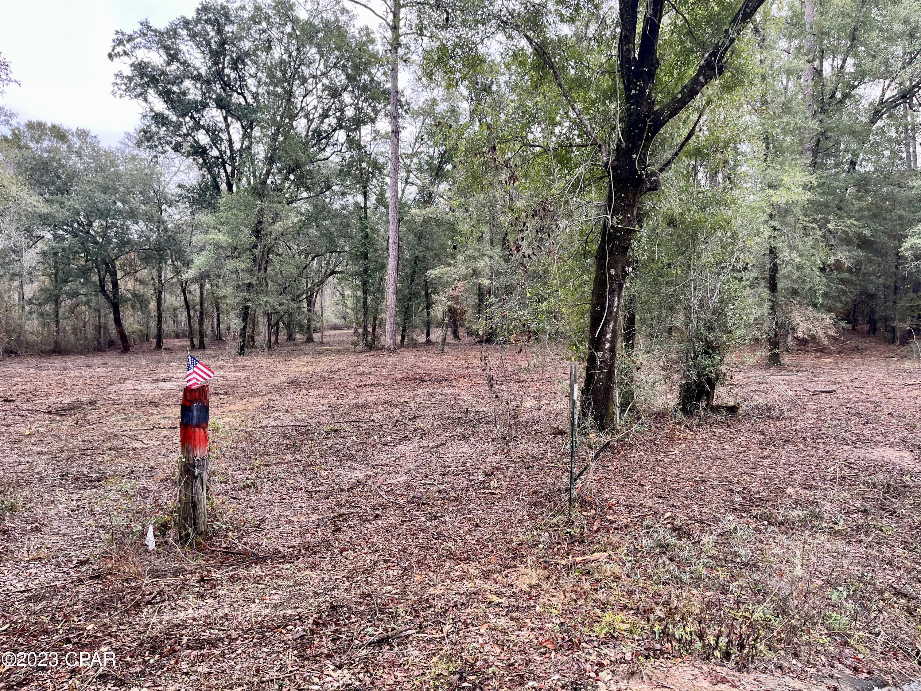 3199 Pate Pond Road, Vernon, Florida image 22