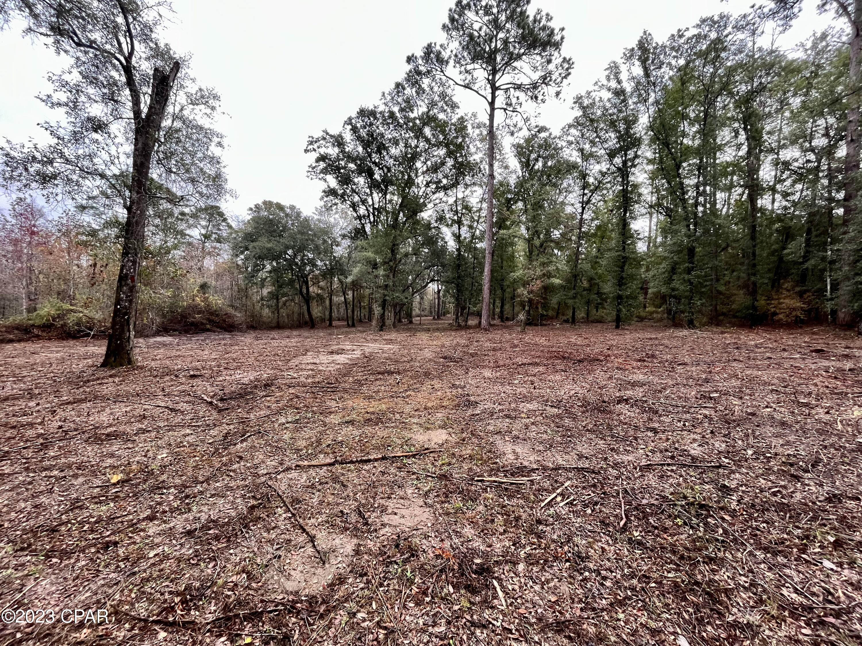 3199 Pate Pond Road, Vernon, Florida image 23