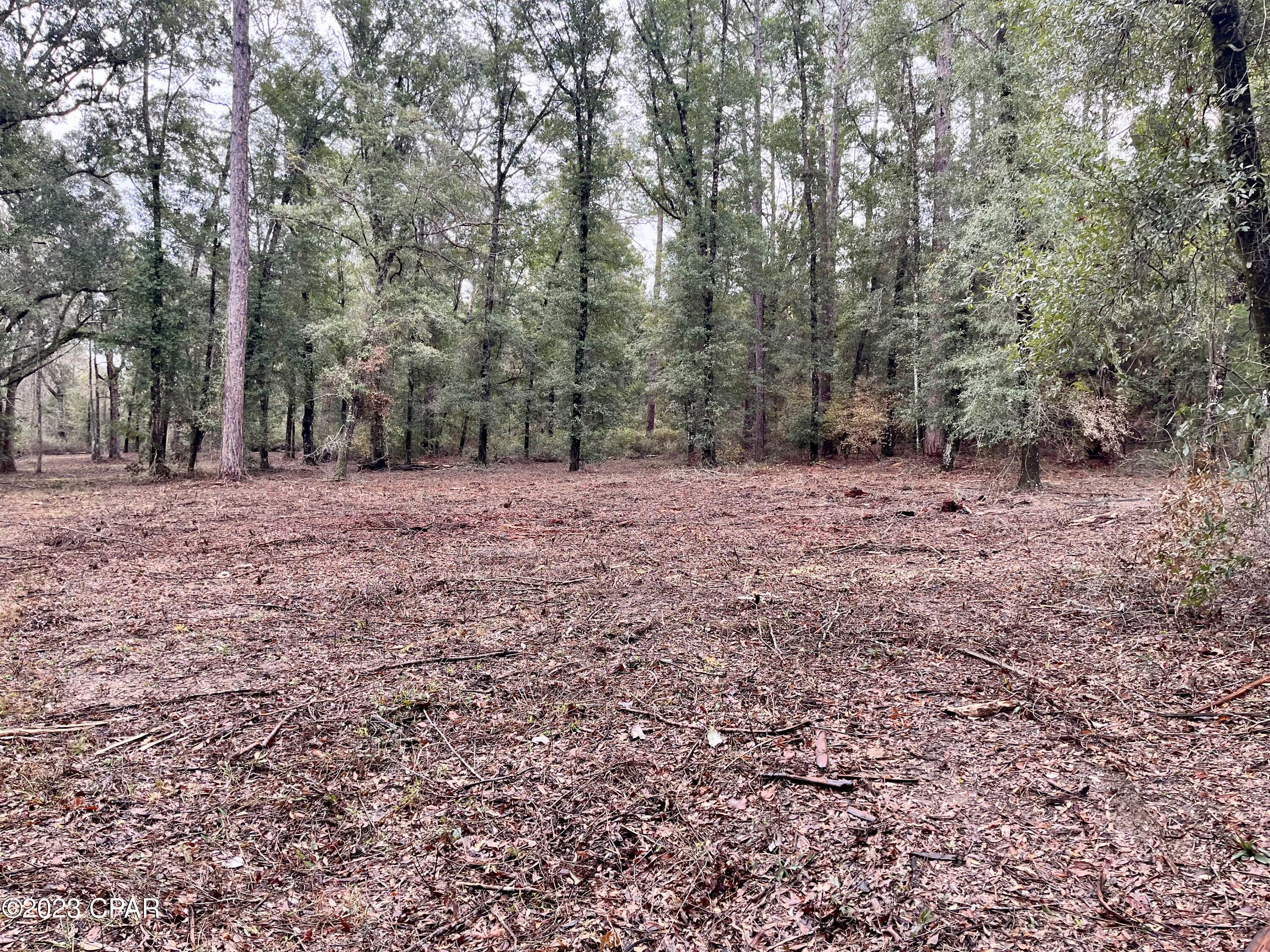 3199 Pate Pond Road, Vernon, Florida image 25