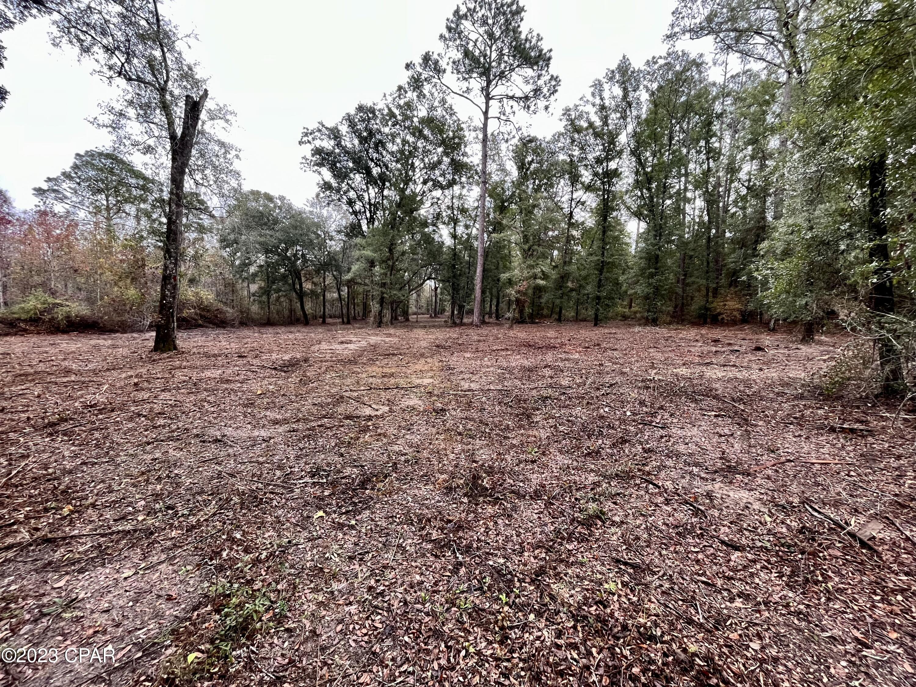 3199 Pate Pond Road, Vernon, Florida image 28