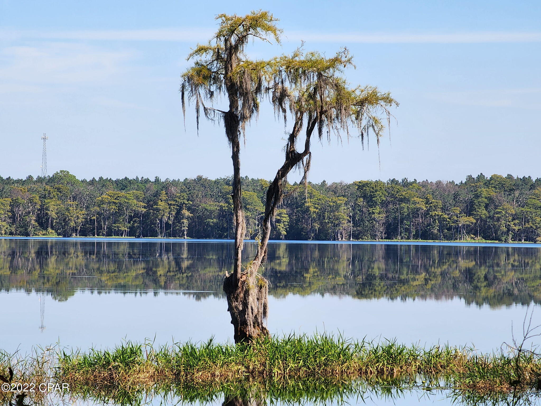 3199 Pate Pond Road, Vernon, Florida image 3