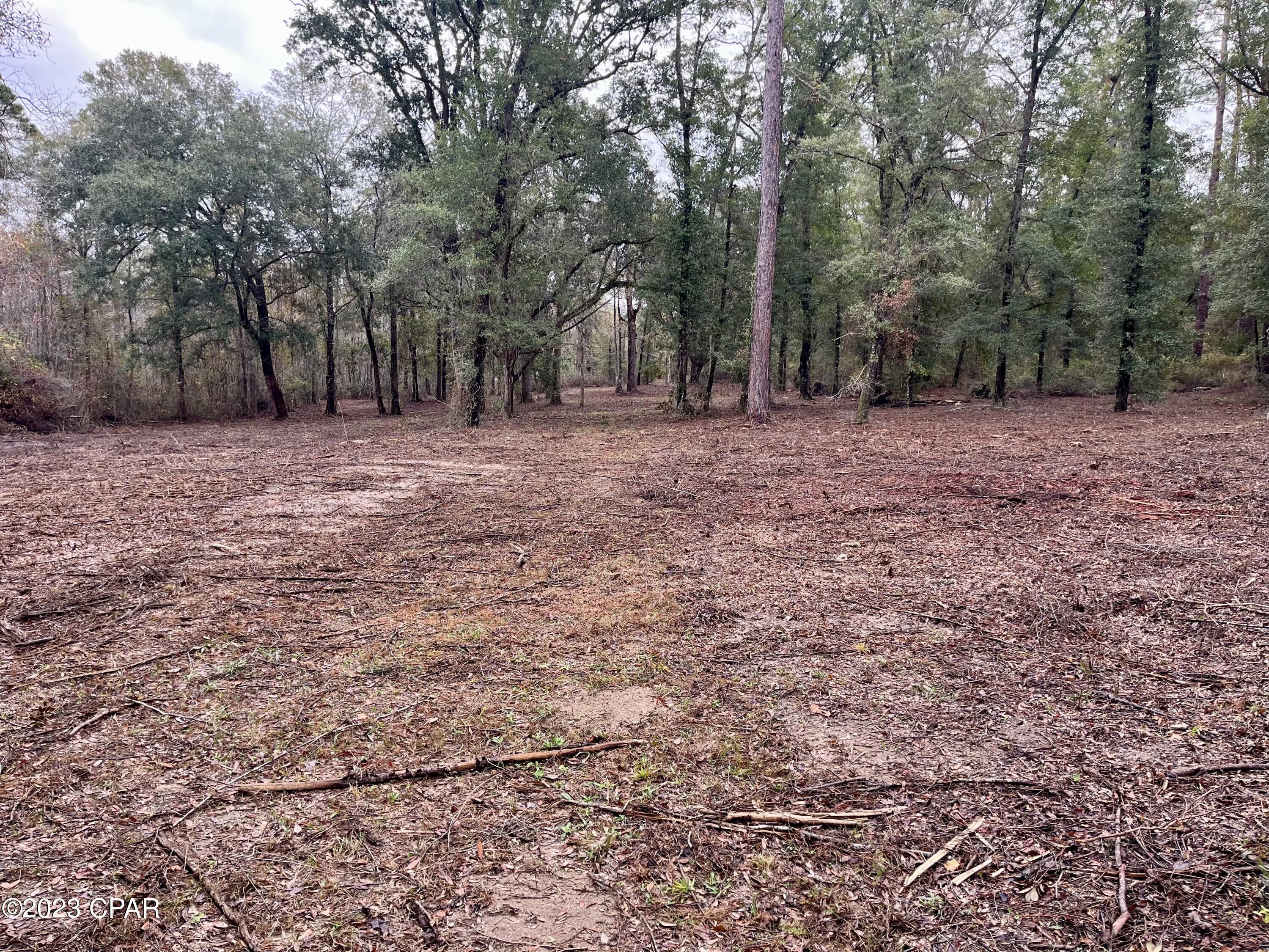 3199 Pate Pond Road, Vernon, Florida image 30