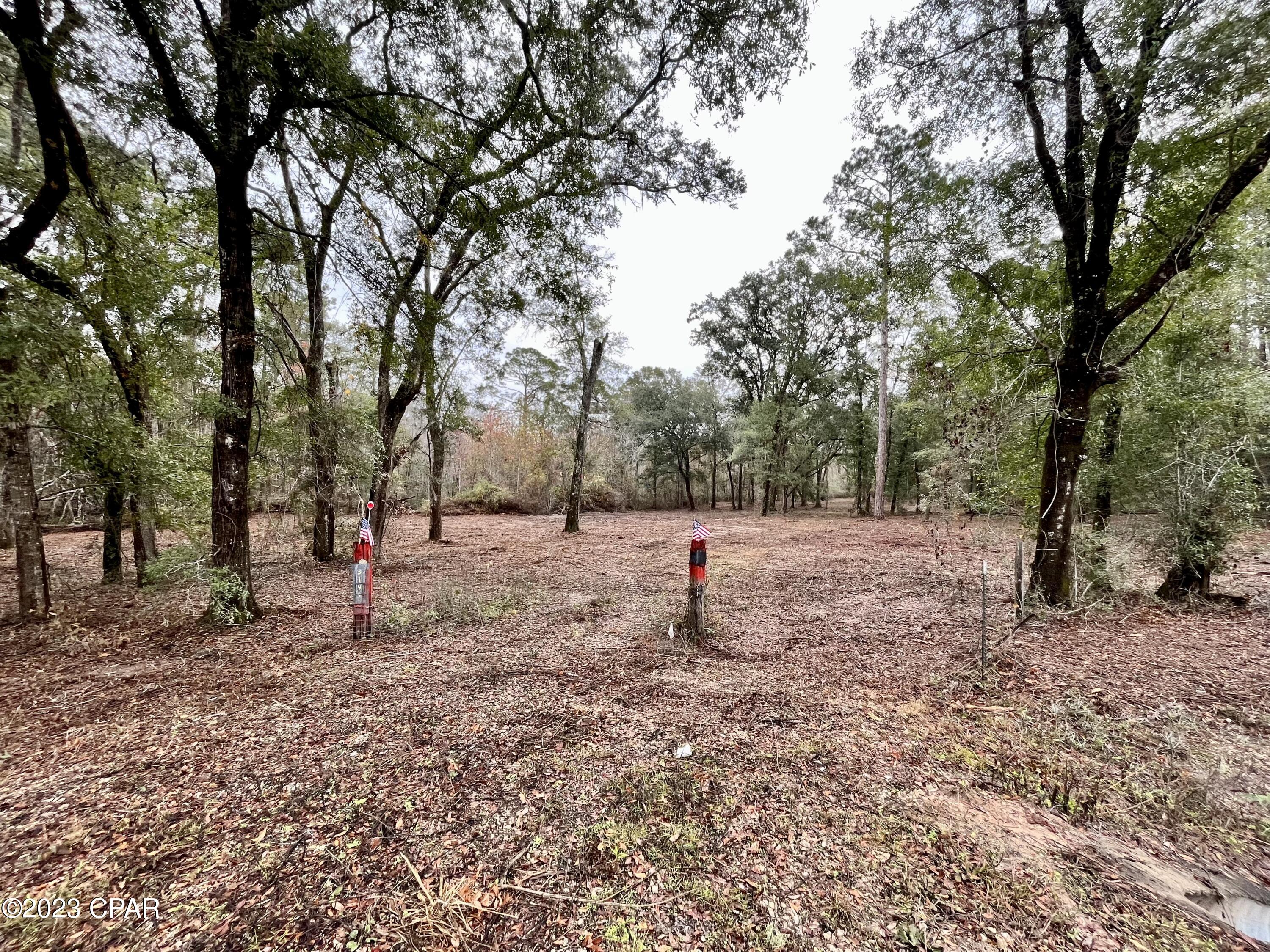 3199 Pate Pond Road, Vernon, Florida image 31