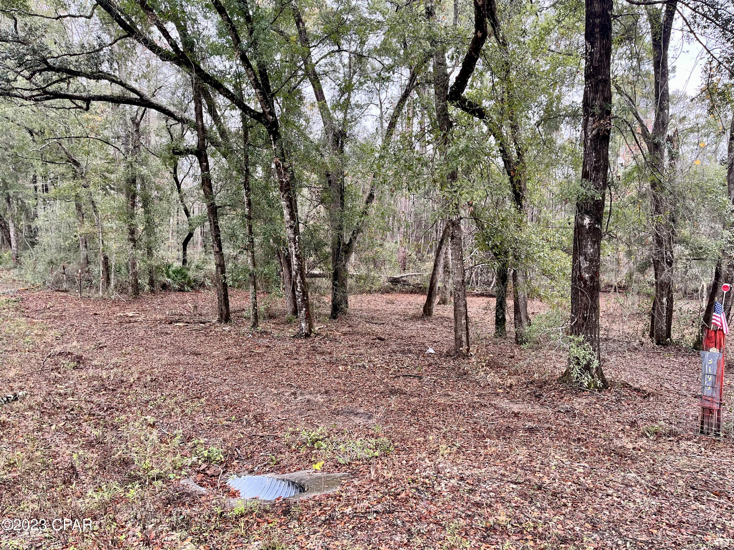 3199 Pate Pond Road, Vernon, Florida image 34