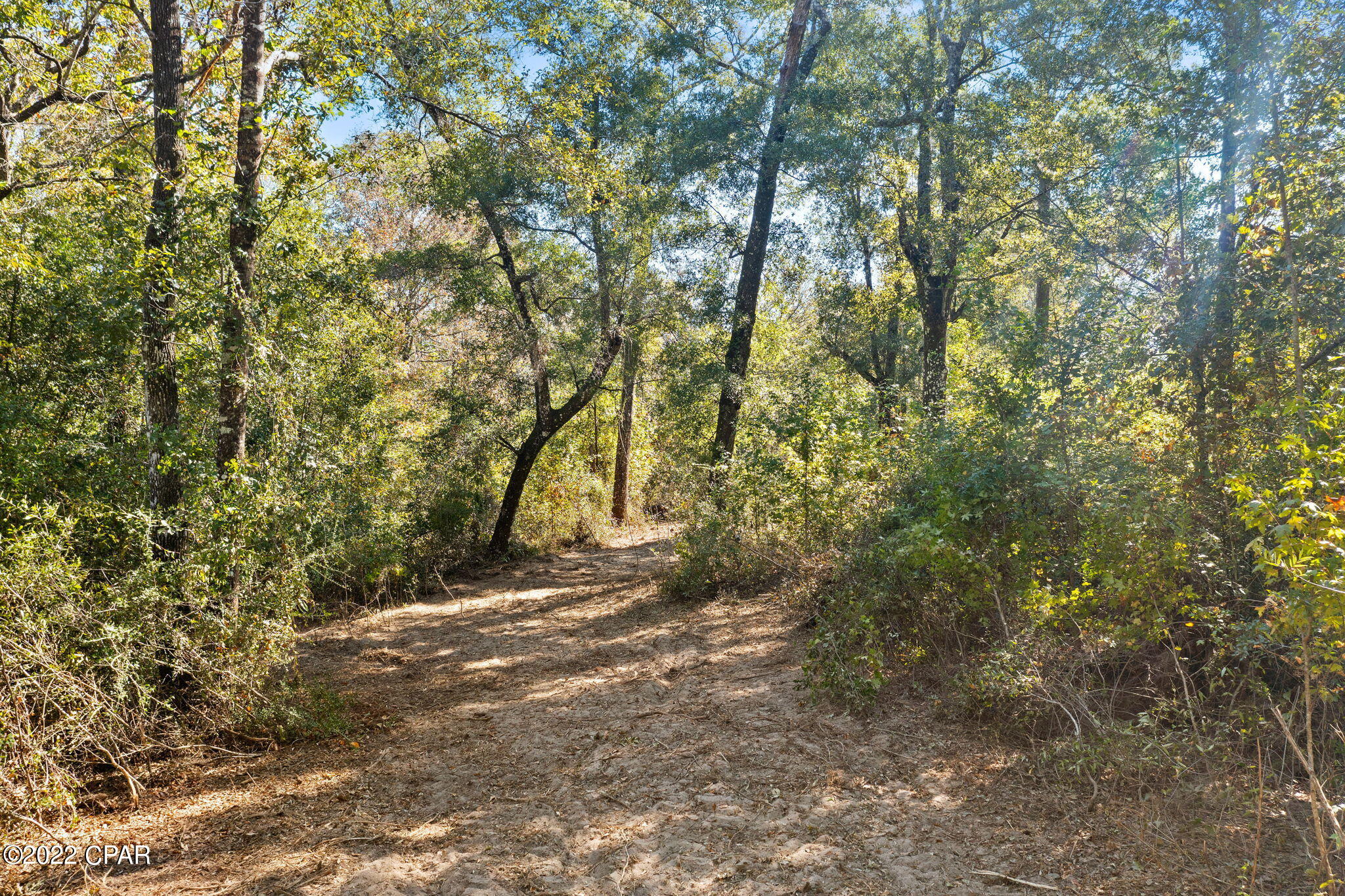 3199 Pate Pond Road, Vernon, Florida image 6