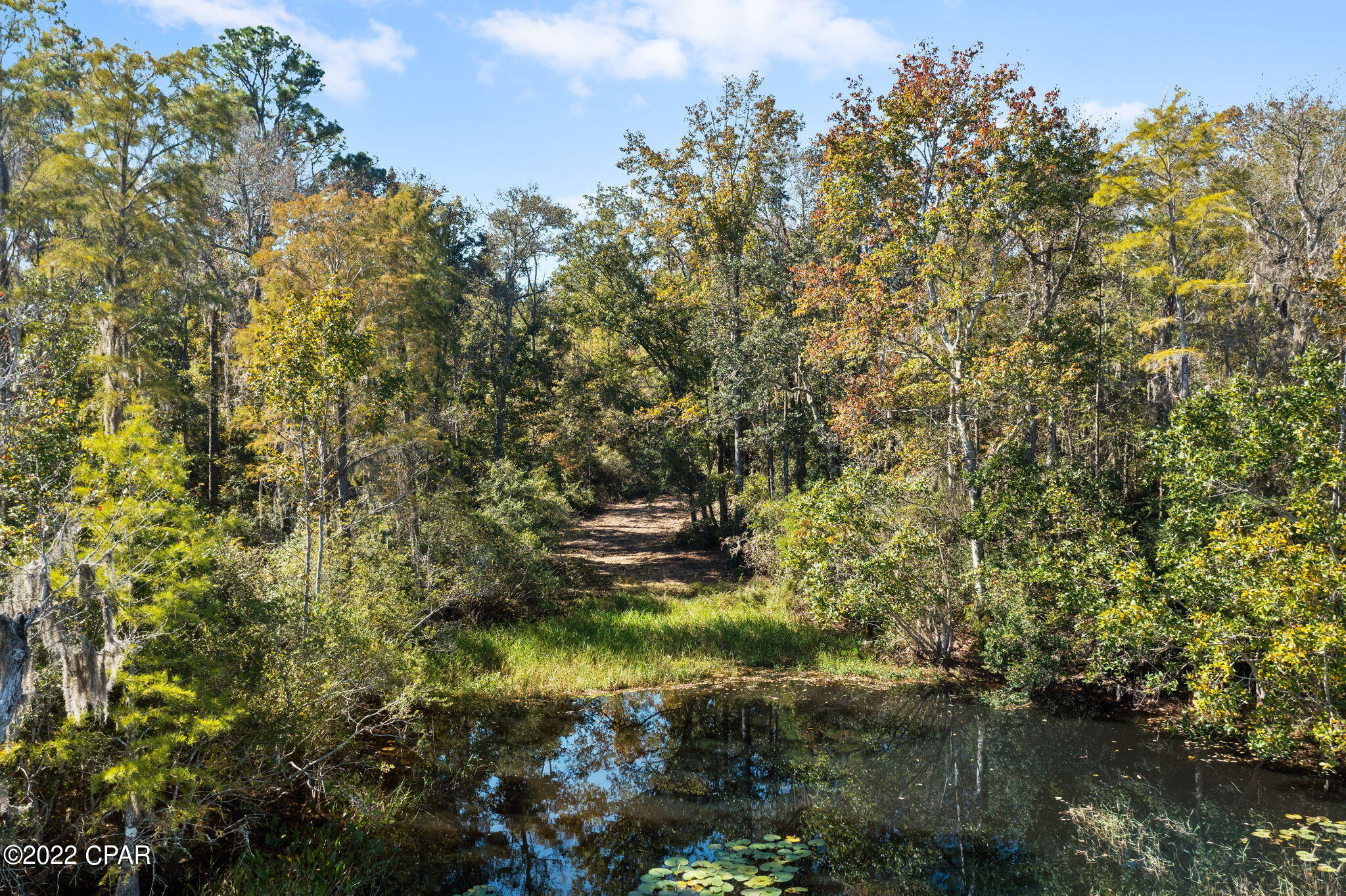 3199 Pate Pond Road, Vernon, Florida image 8