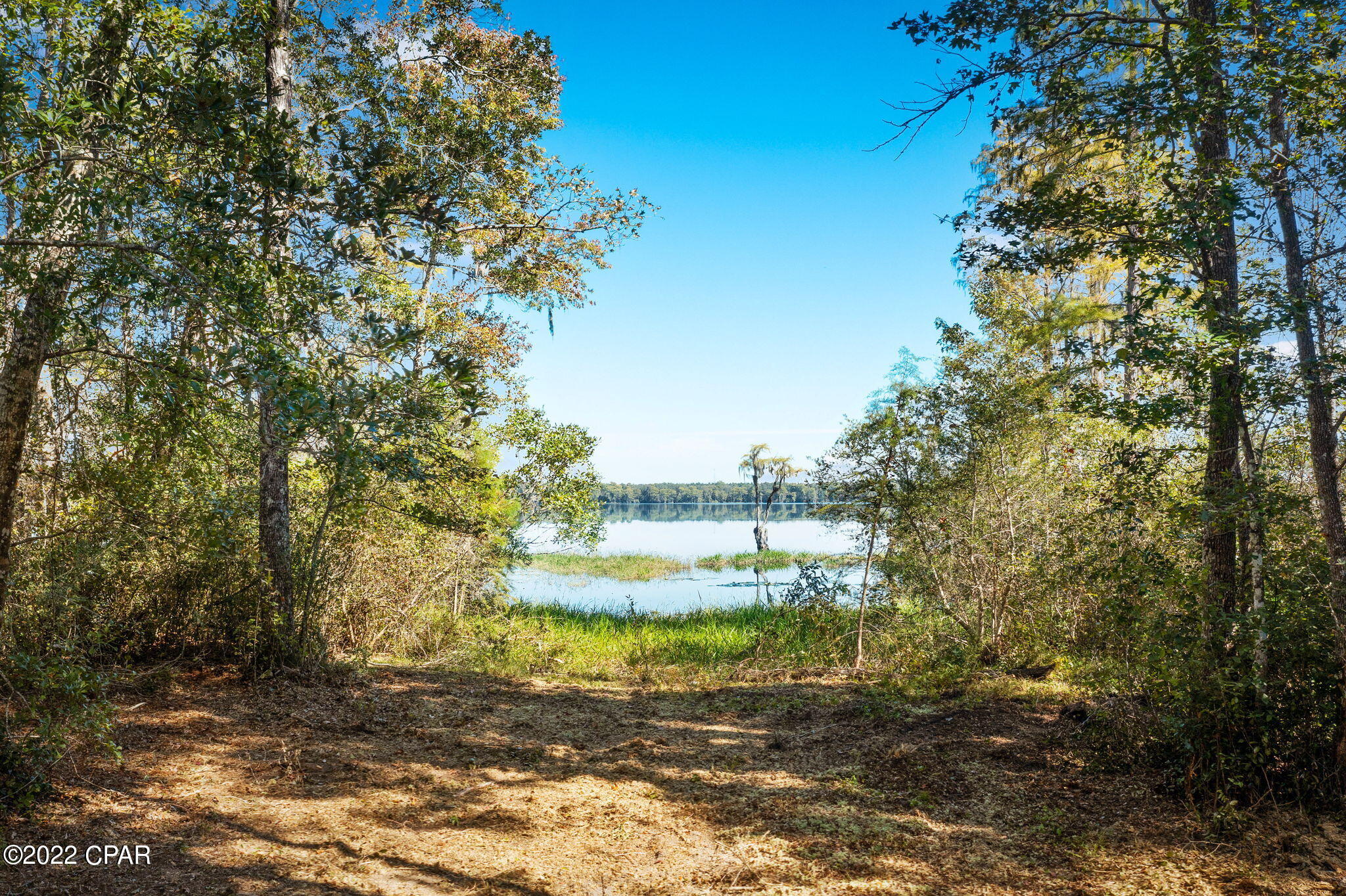 3199 Pate Pond Road, Vernon, Florida image 9