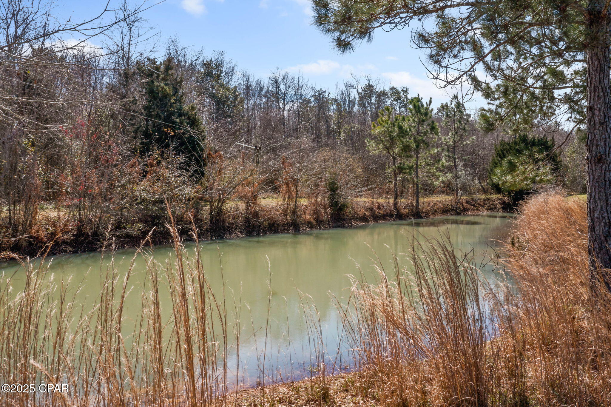 355 Highway 90, Chipley, Florida image 43