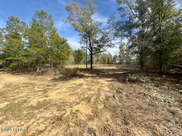 Lot #19 Paradise Lakes Road, Chipley, Florida image 2