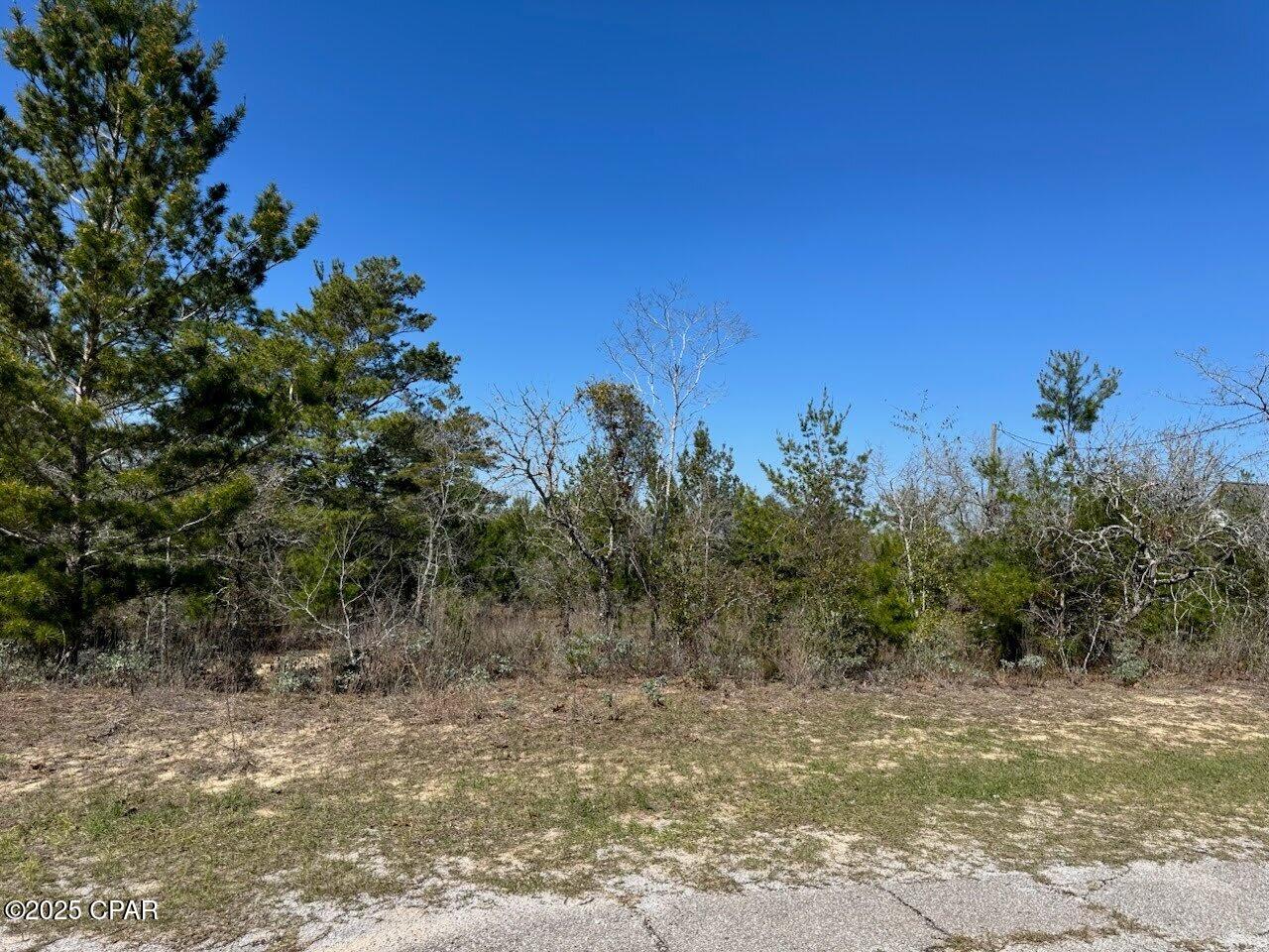 Lot 15 Falcon Drive, Chipley, Florida image 4