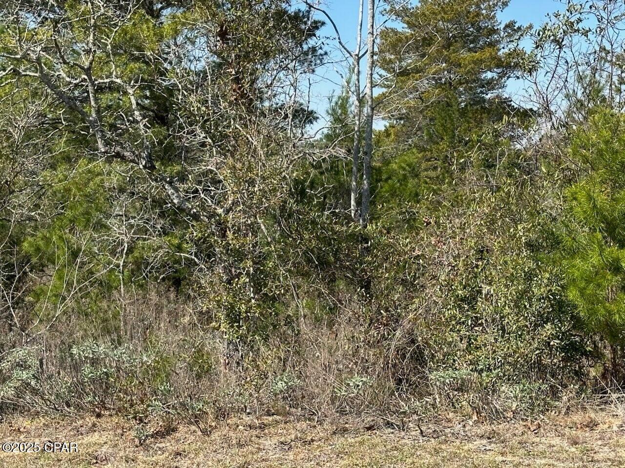 Lot 15 Falcon Drive, Chipley, Florida image 5