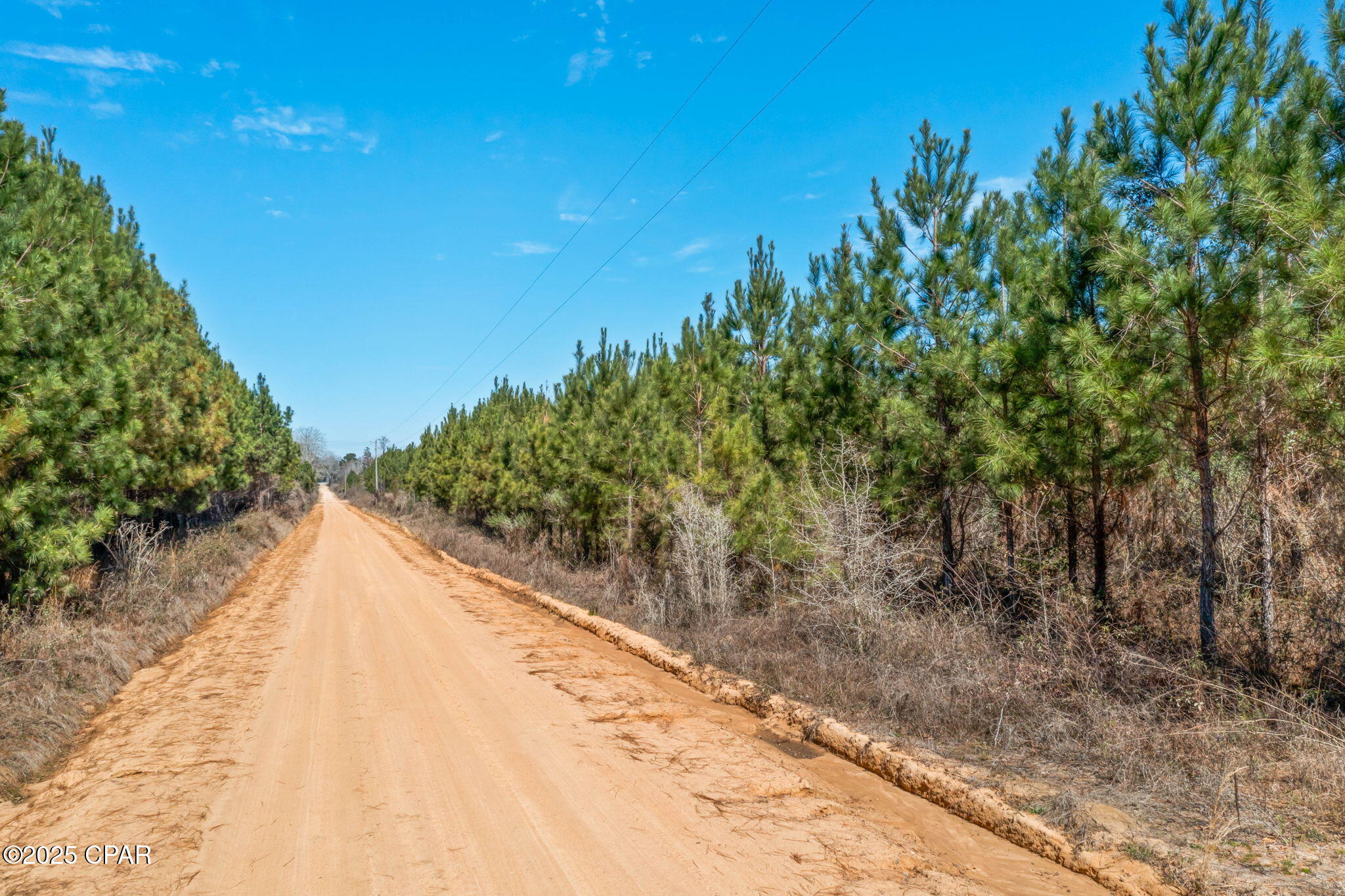 Lot 3 New Prospect Road, Chipley, Florida image 11