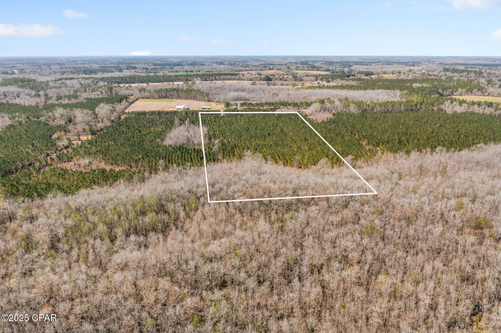 Lot 3 New Prospect Road, Chipley, Florida image 2