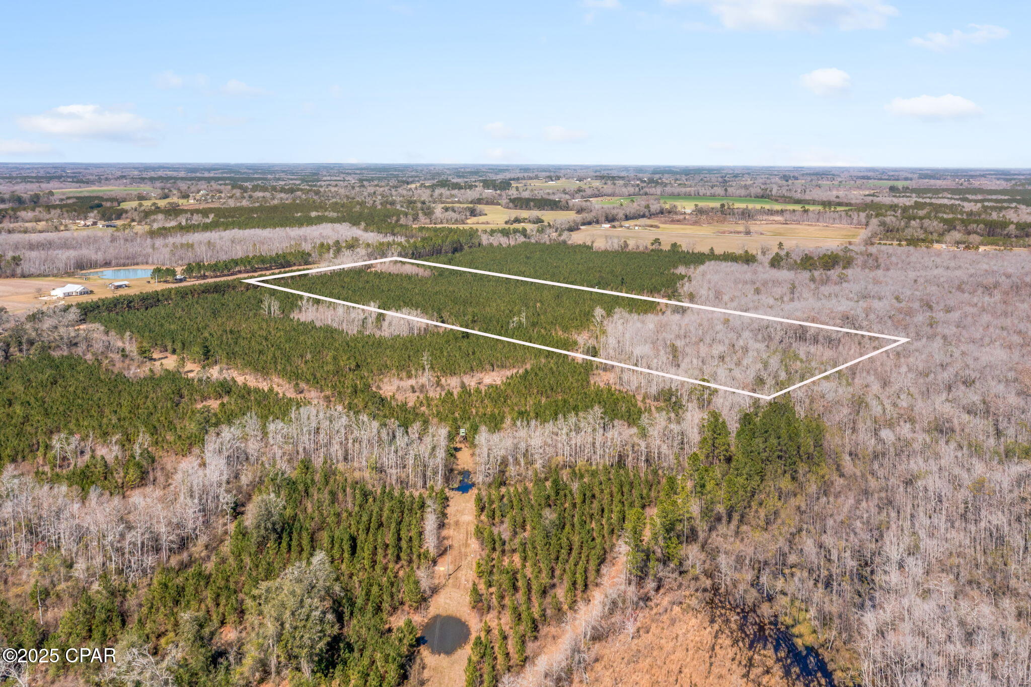 Lot 3 New Prospect Road, Chipley, Florida image 3