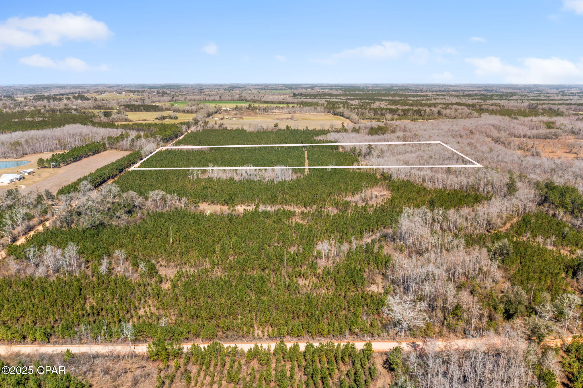 Lot 3 New Prospect Road, Chipley, Florida image 4