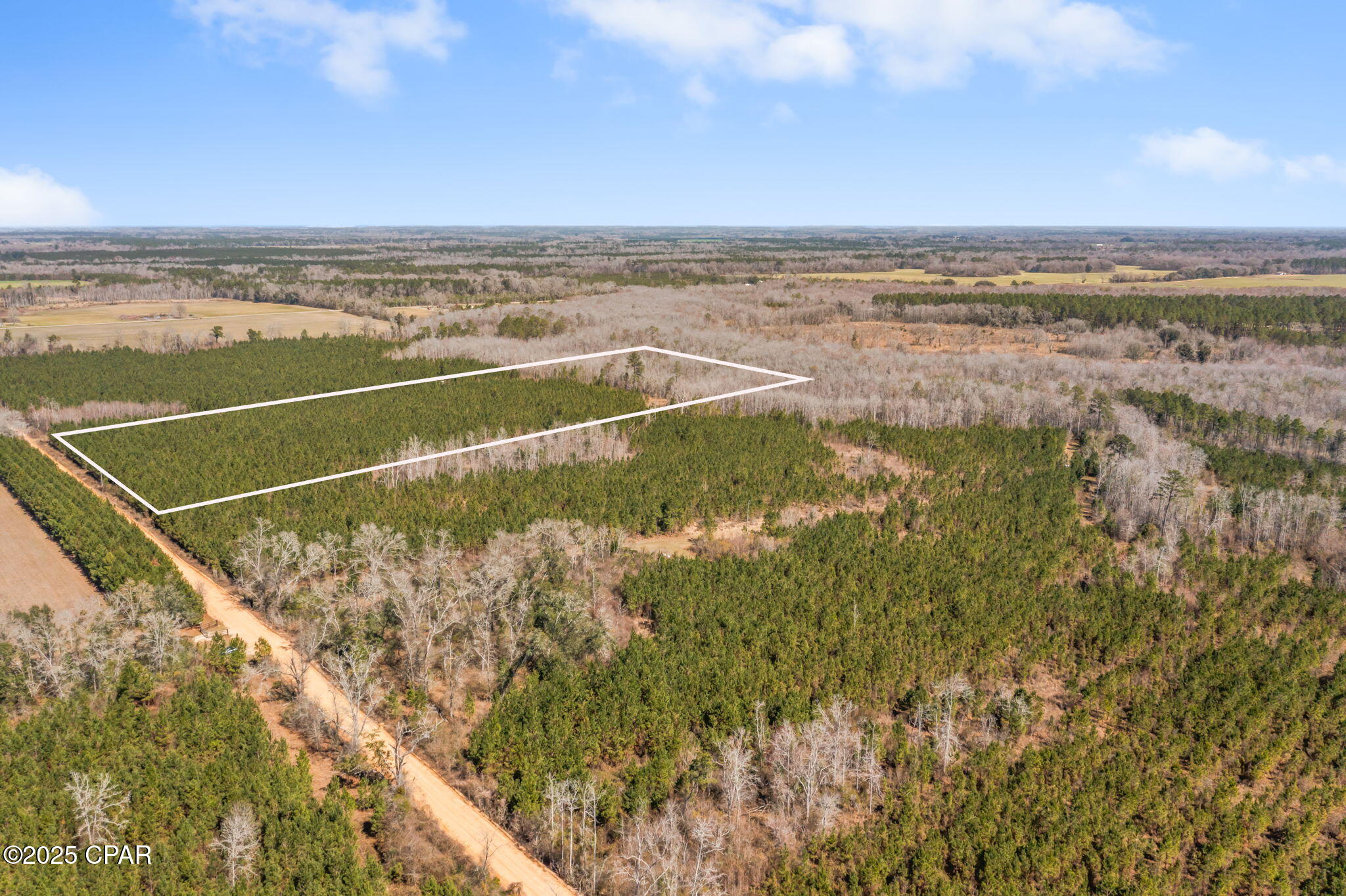 Lot 3 New Prospect Road, Chipley, Florida image 5