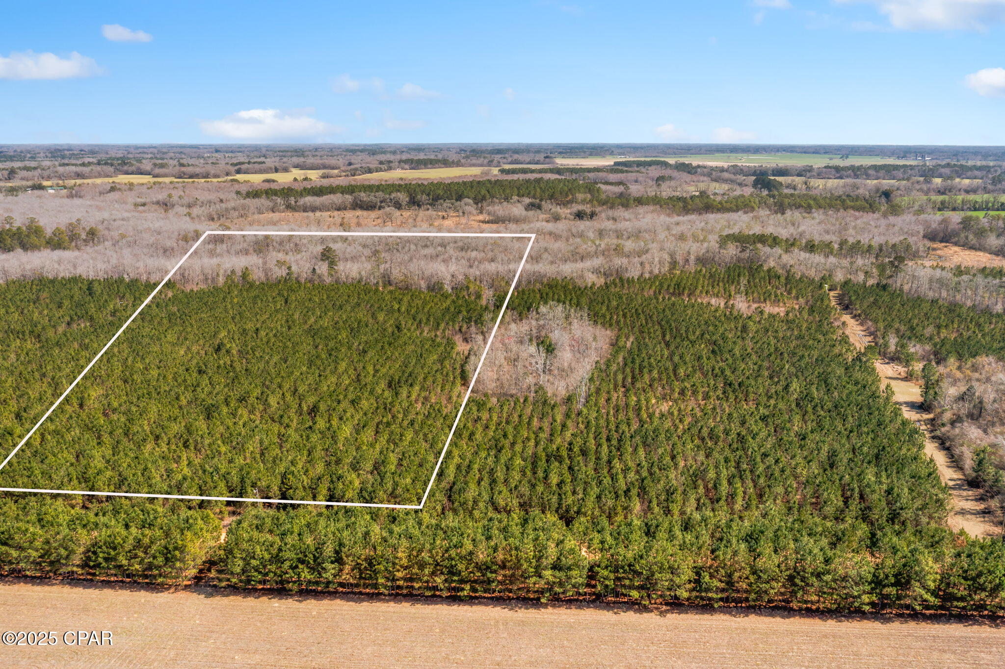 Lot 3 New Prospect Road, Chipley, Florida image 6