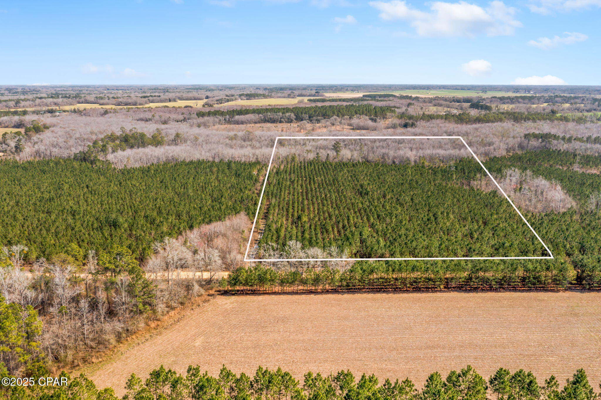 Lot 3 New Prospect Road, Chipley, Florida image 7