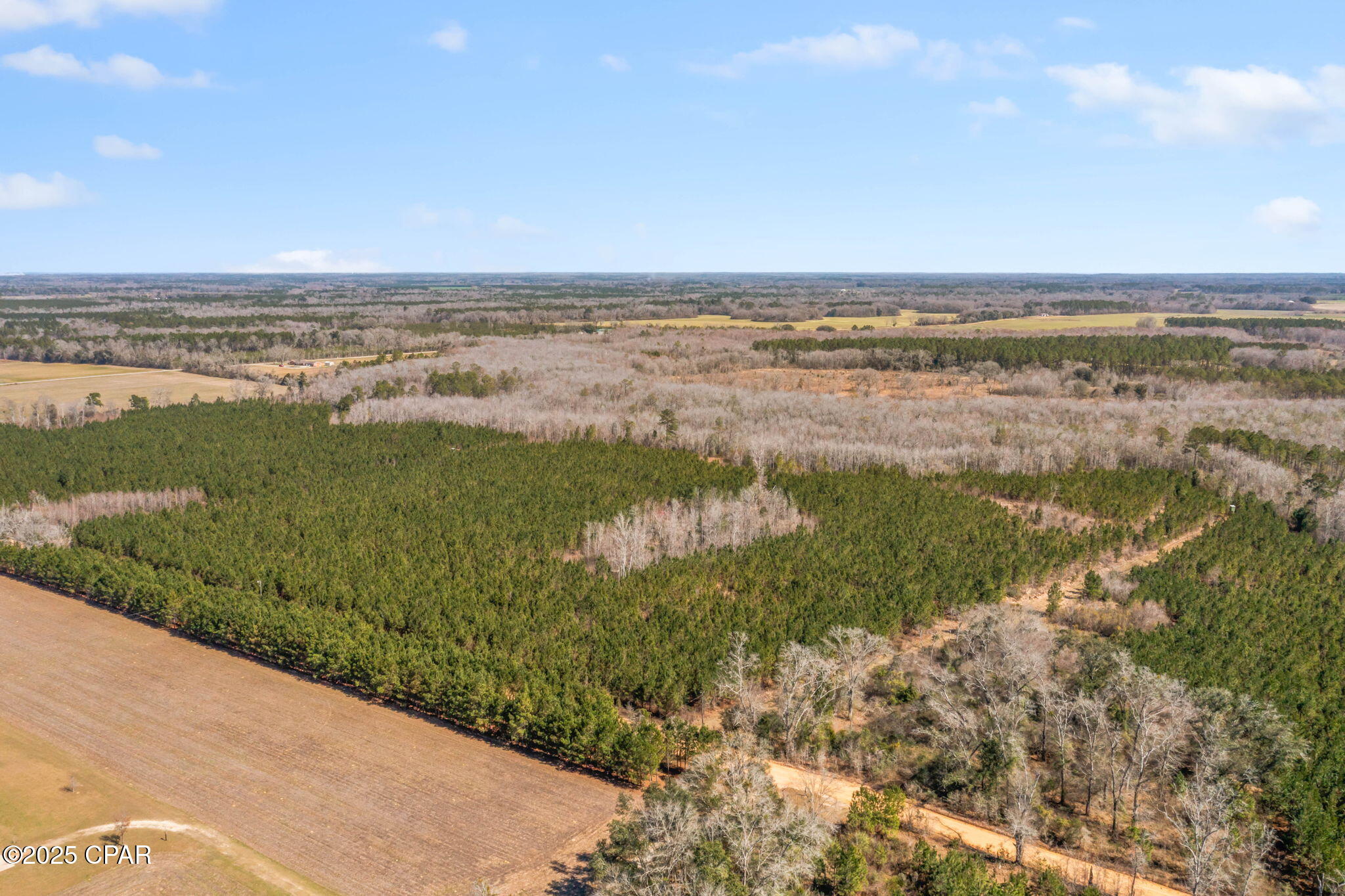 Lot 3 New Prospect Road, Chipley, Florida image 8