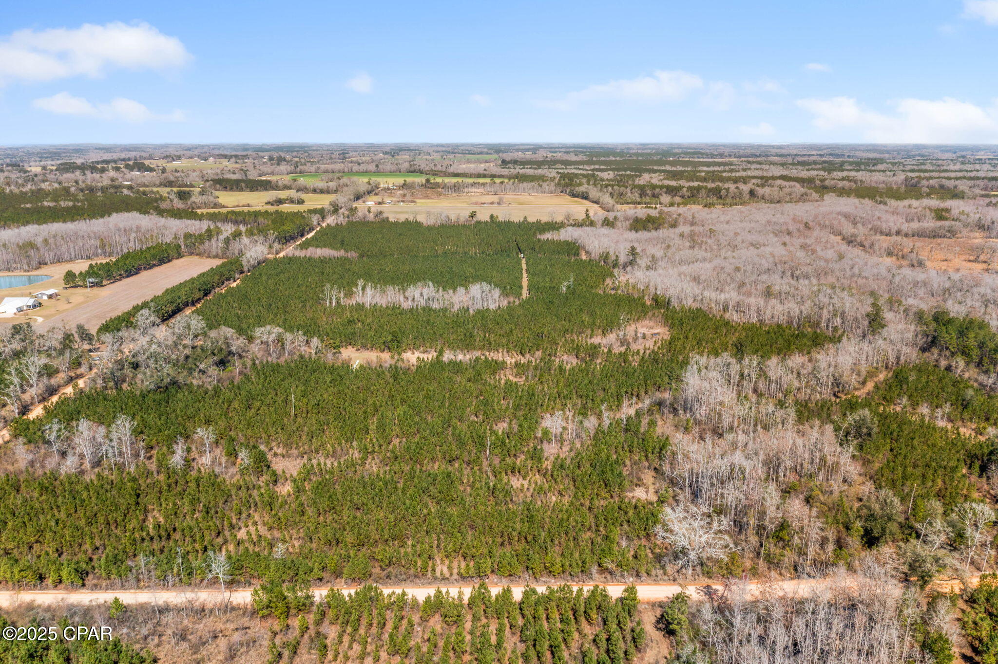 Lot 3 New Prospect Road, Chipley, Florida image 9