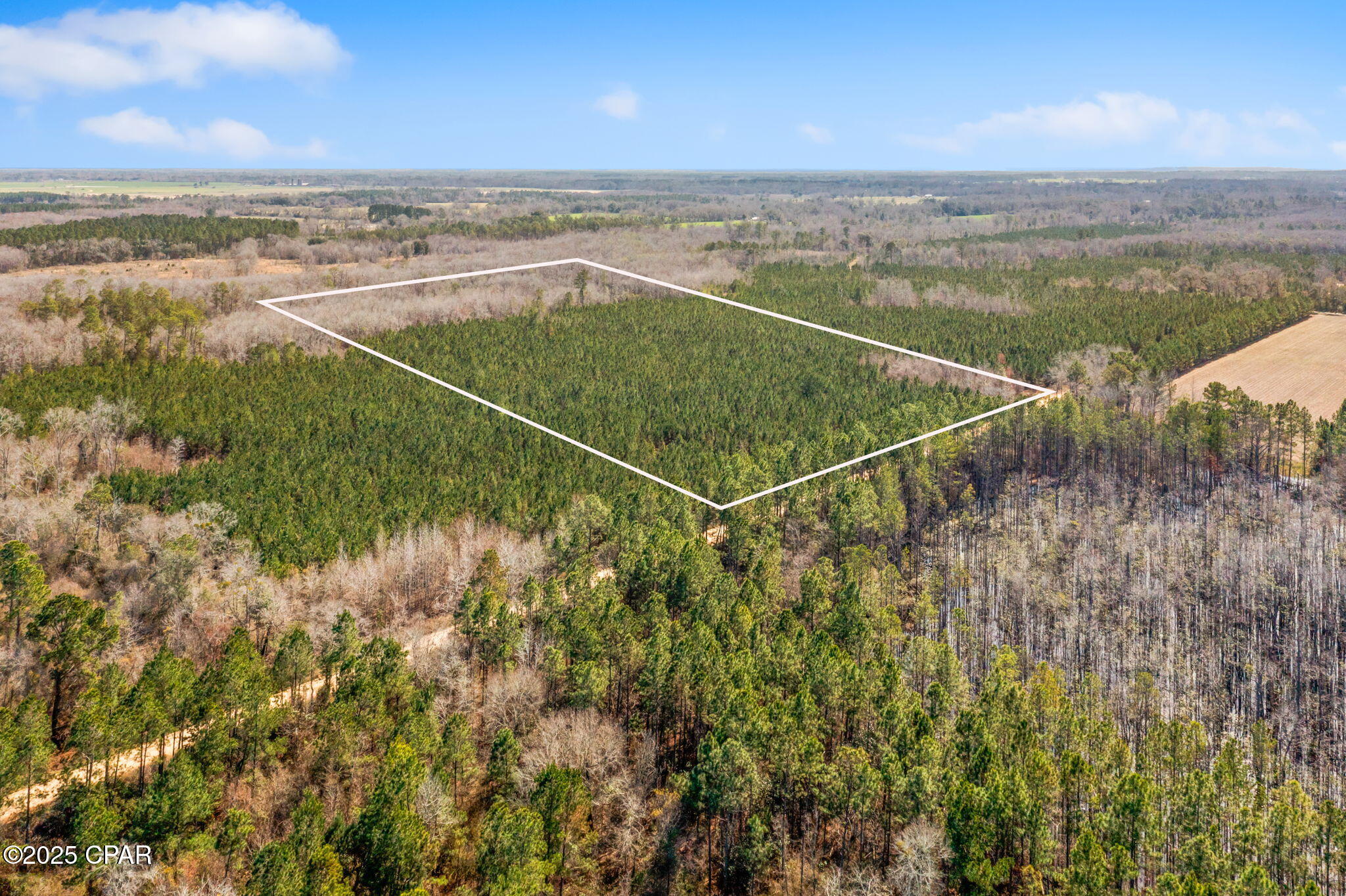 Lot 2 New Prospect Road, Chipley, Florida image 1