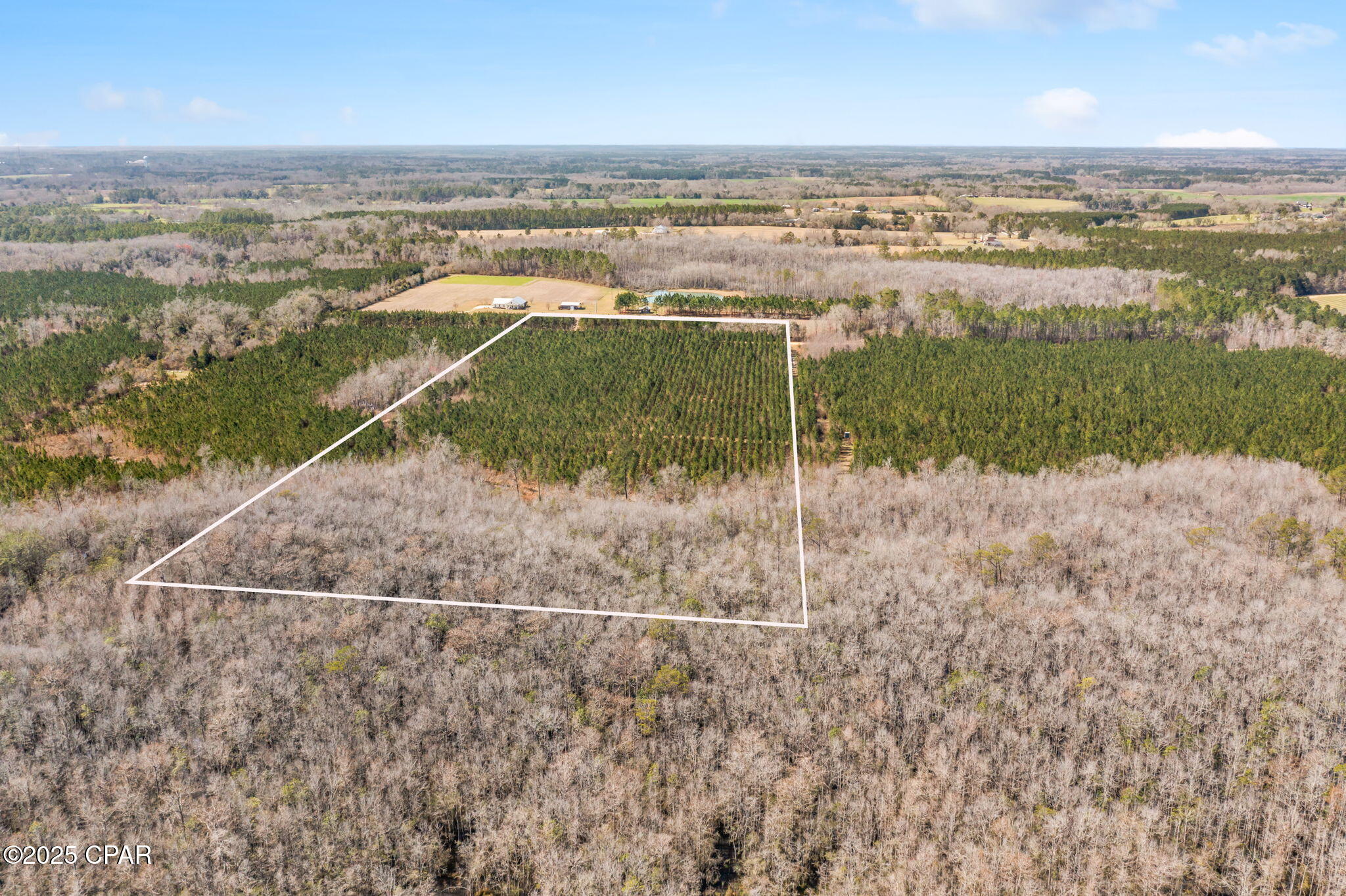 Lot 2 New Prospect Road, Chipley, Florida image 3