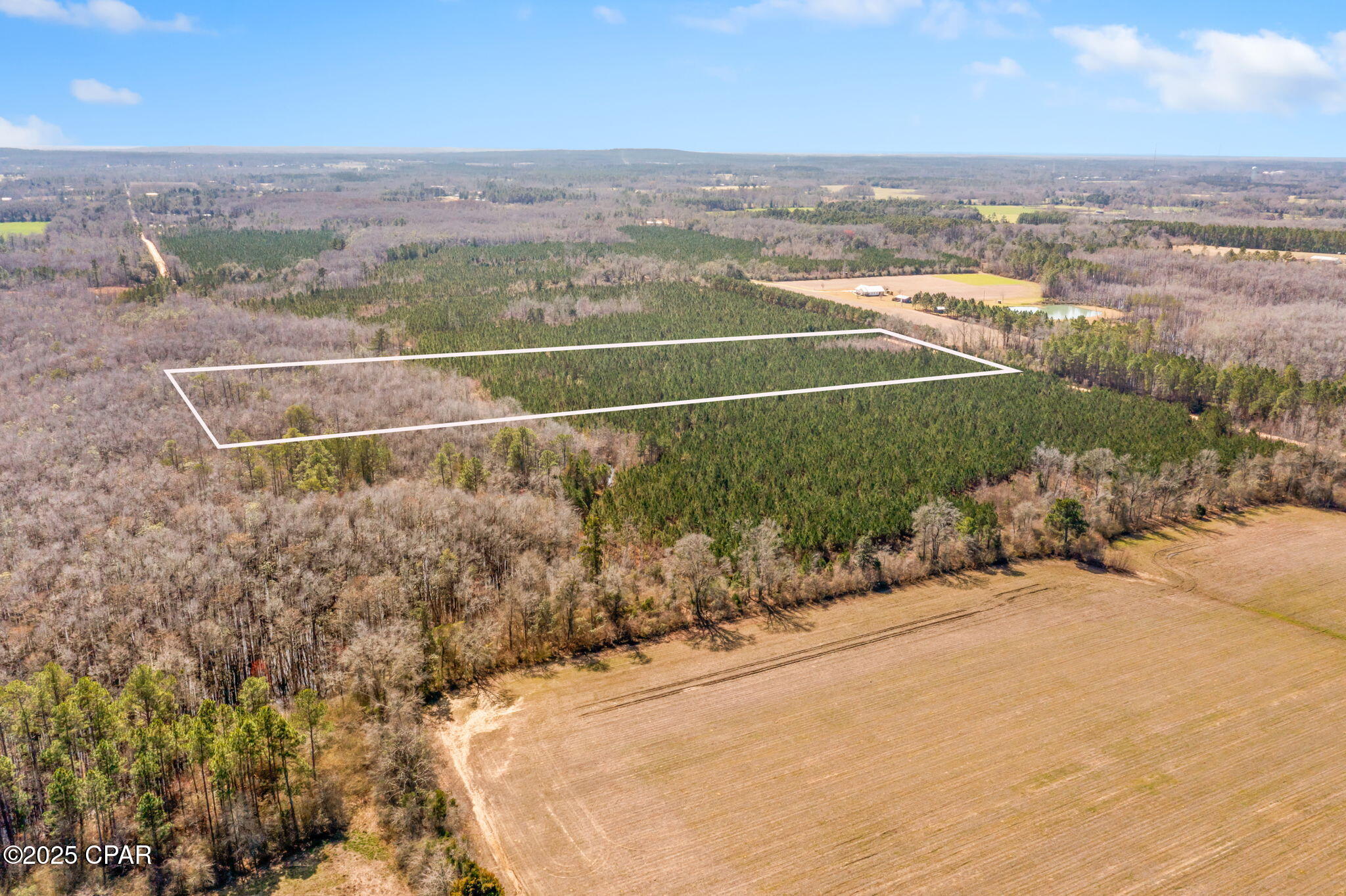 Lot 2 New Prospect Road, Chipley, Florida image 4