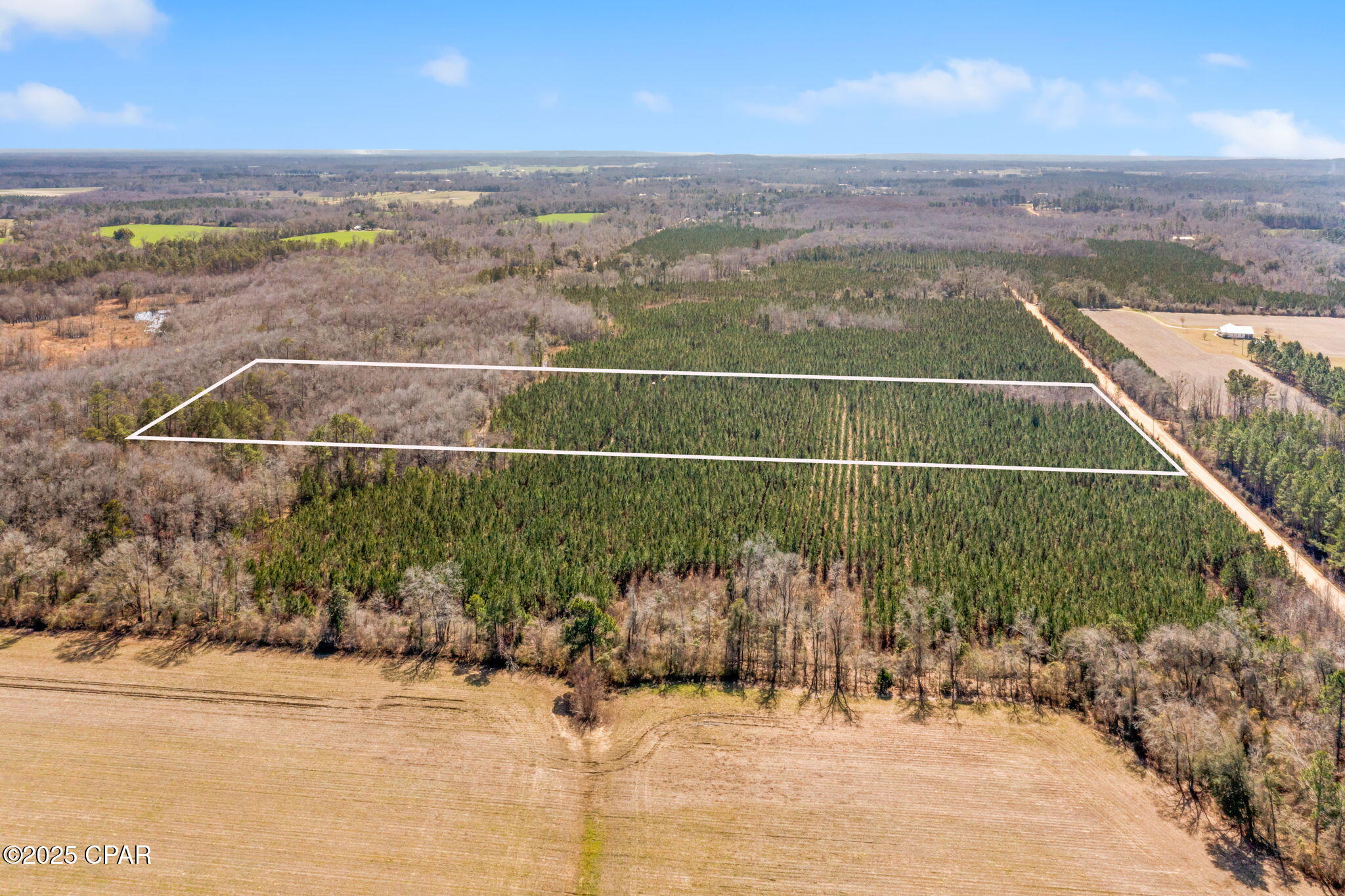 Lot 2 New Prospect Road, Chipley, Florida image 5