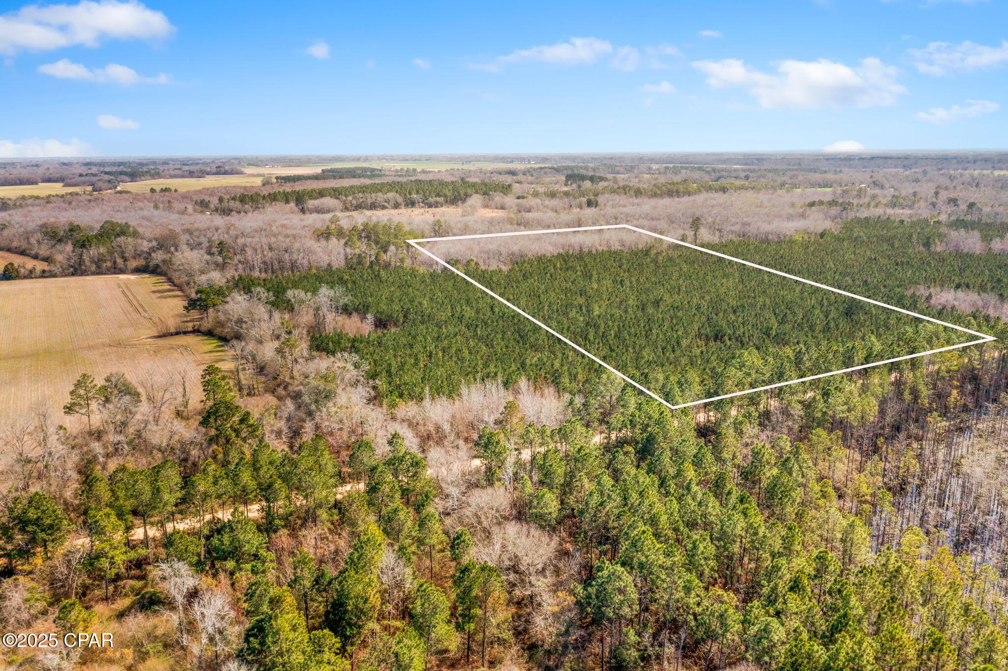 Lot 2 New Prospect Road, Chipley, Florida image 6