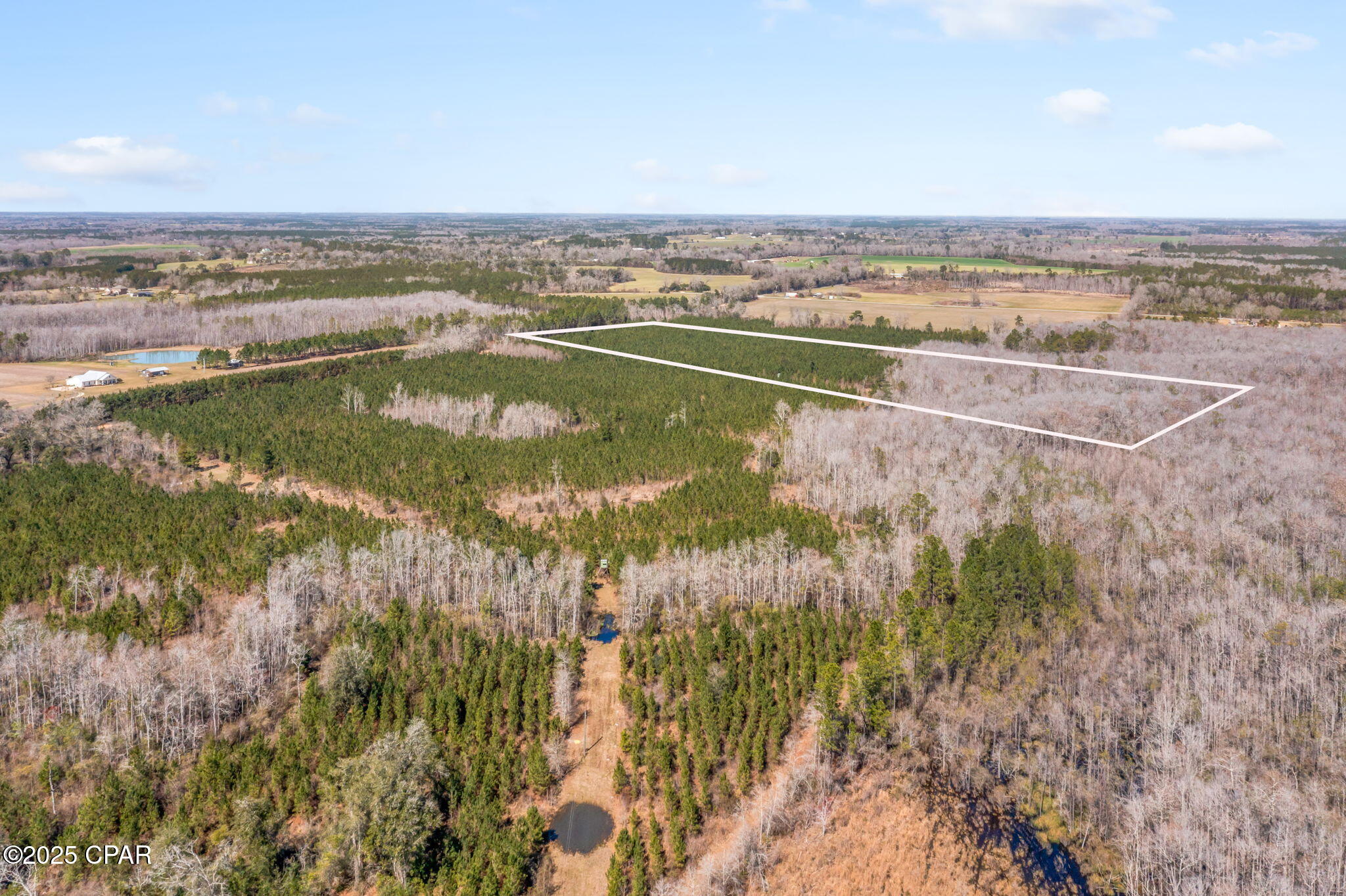 Lot 2 New Prospect Road, Chipley, Florida image 7