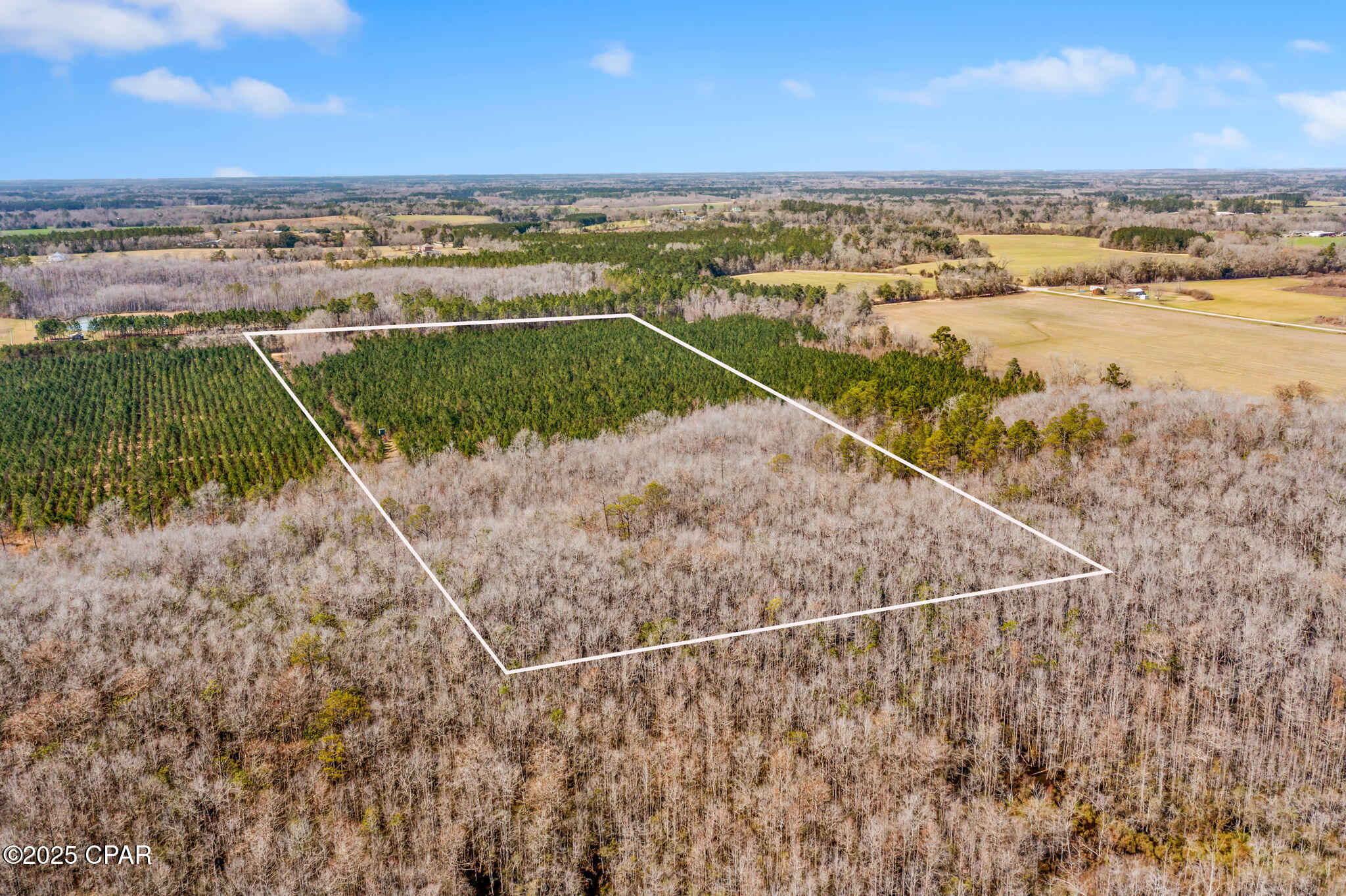 Lot 2 New Prospect Road, Chipley, Florida image 8