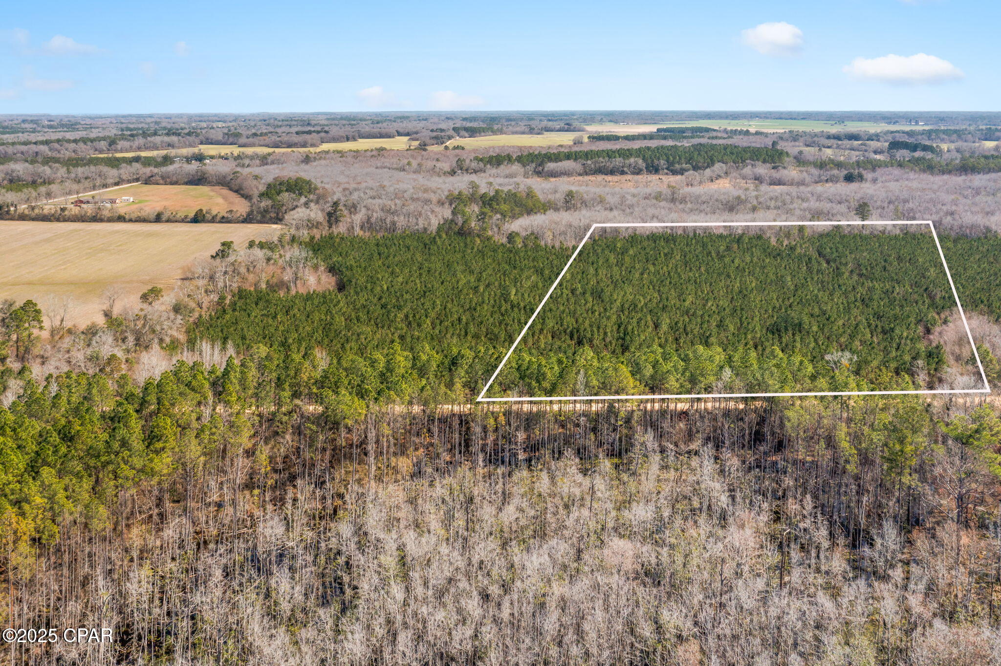 Lot 2 New Prospect Road, Chipley, Florida image 9