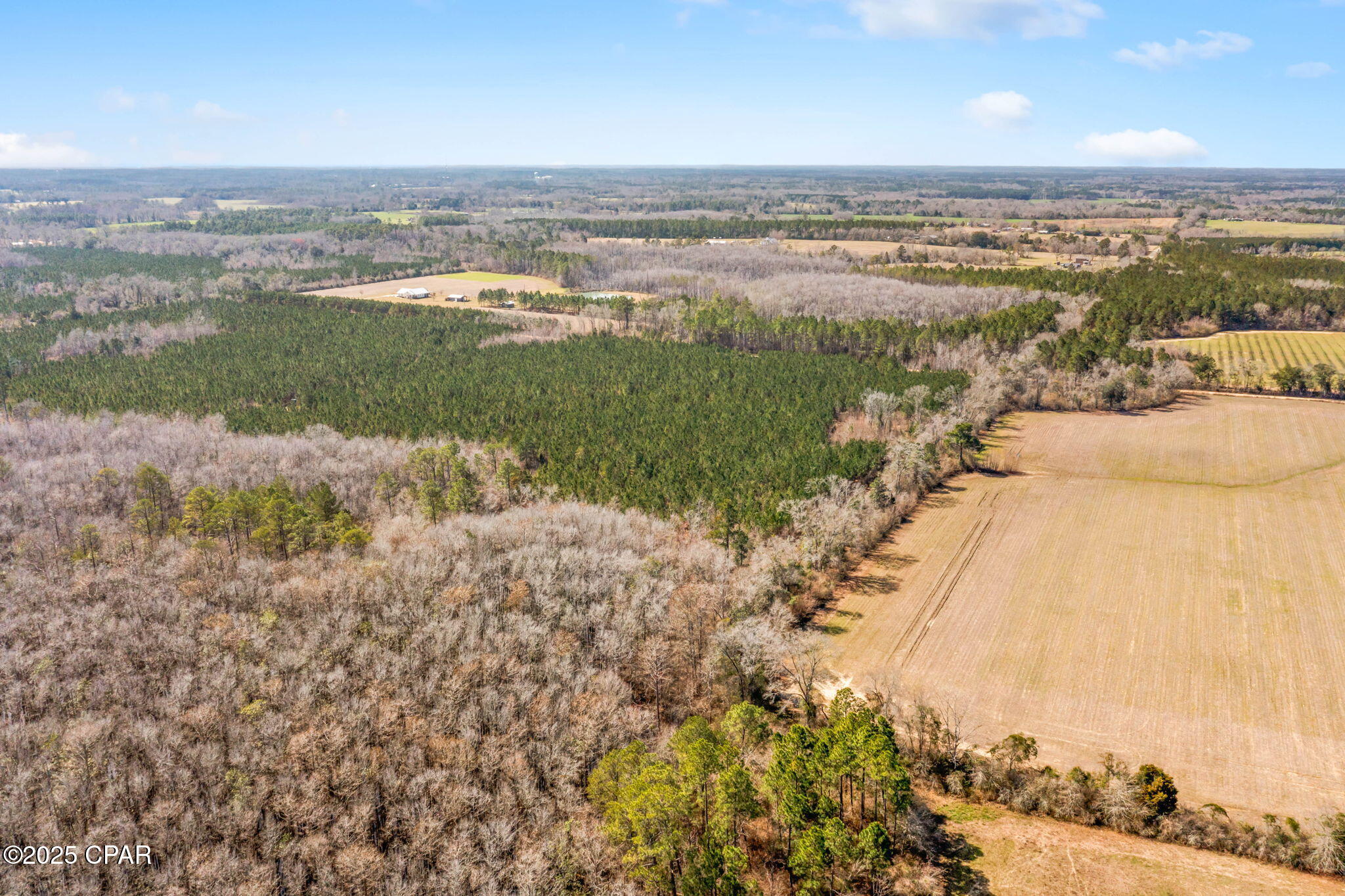 Lot 1 New Prospect Road, Chipley, Florida image 13