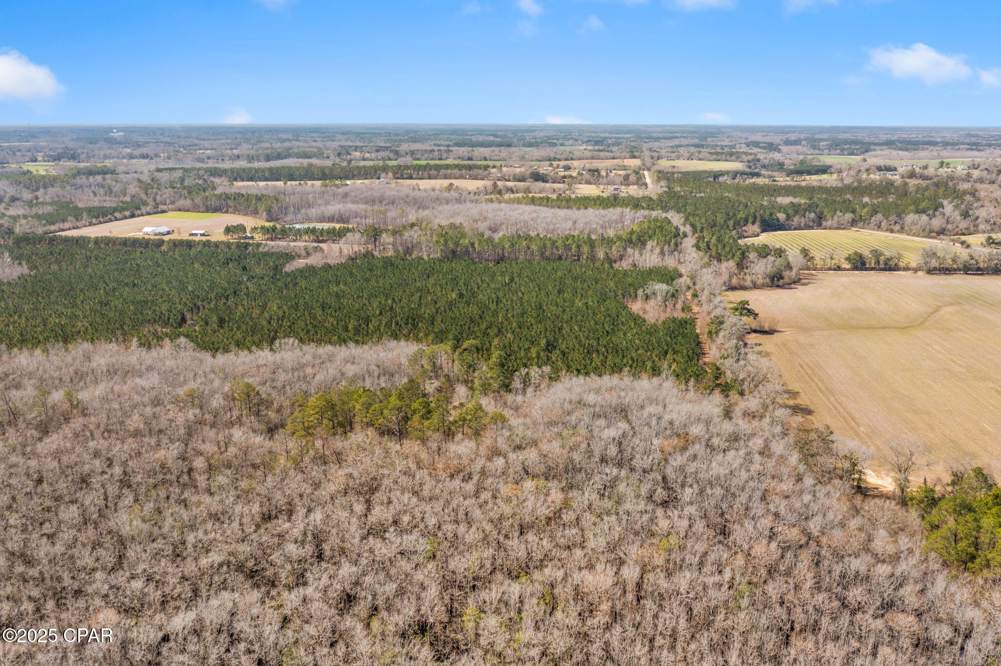 Lot 1 New Prospect Road, Chipley, Florida image 14