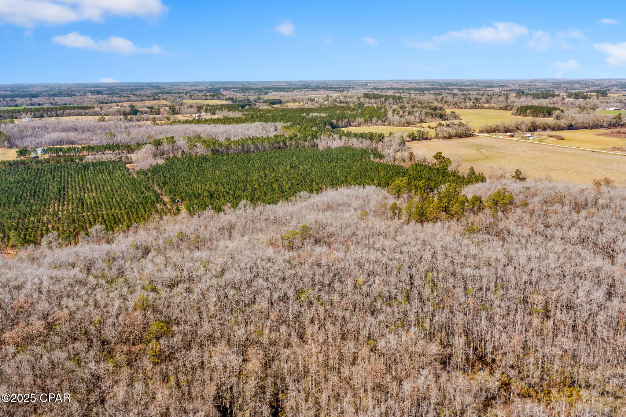 Lot 1 New Prospect Road, Chipley, Florida image 15