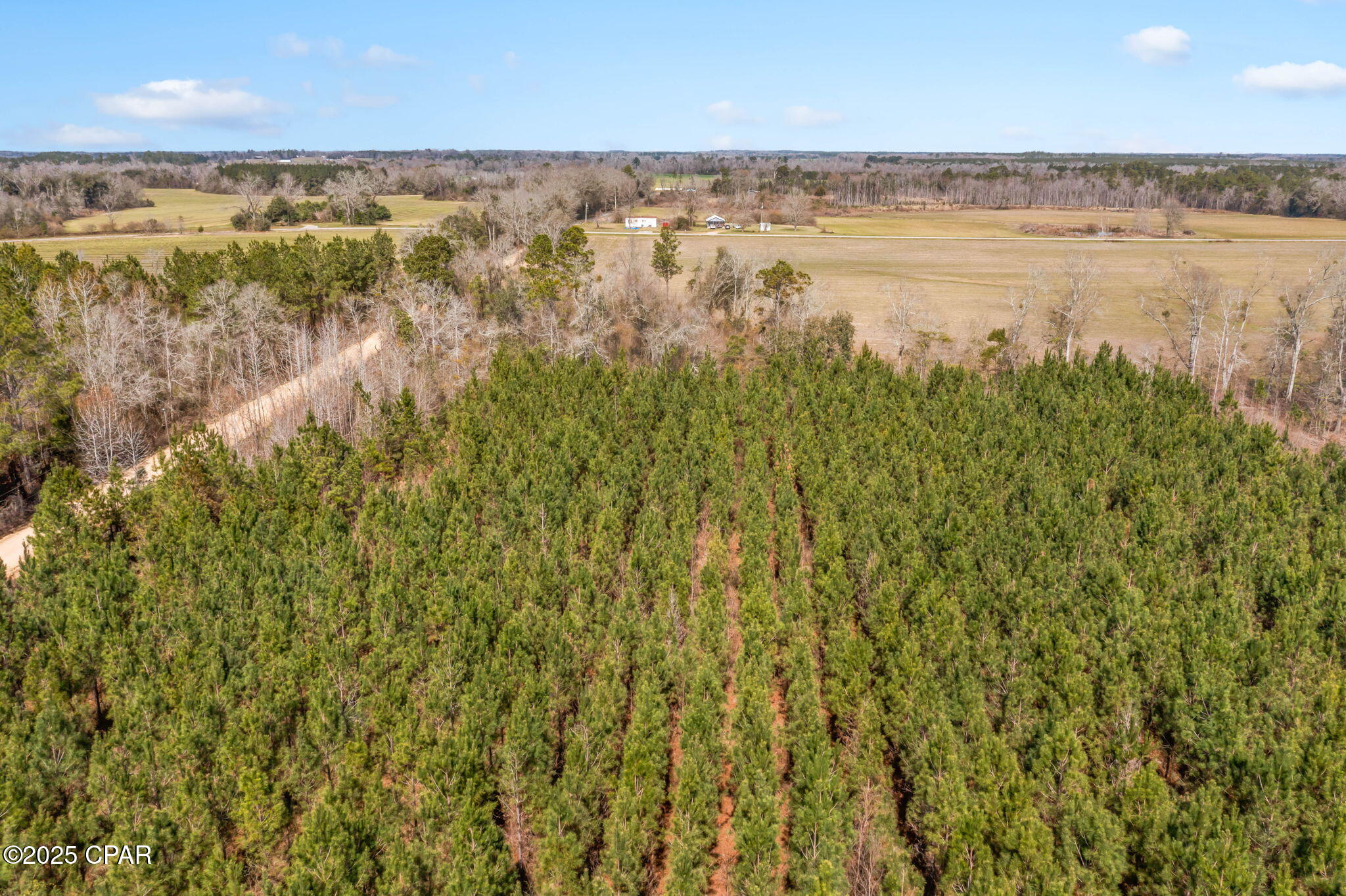 Lot 1 New Prospect Road, Chipley, Florida image 16