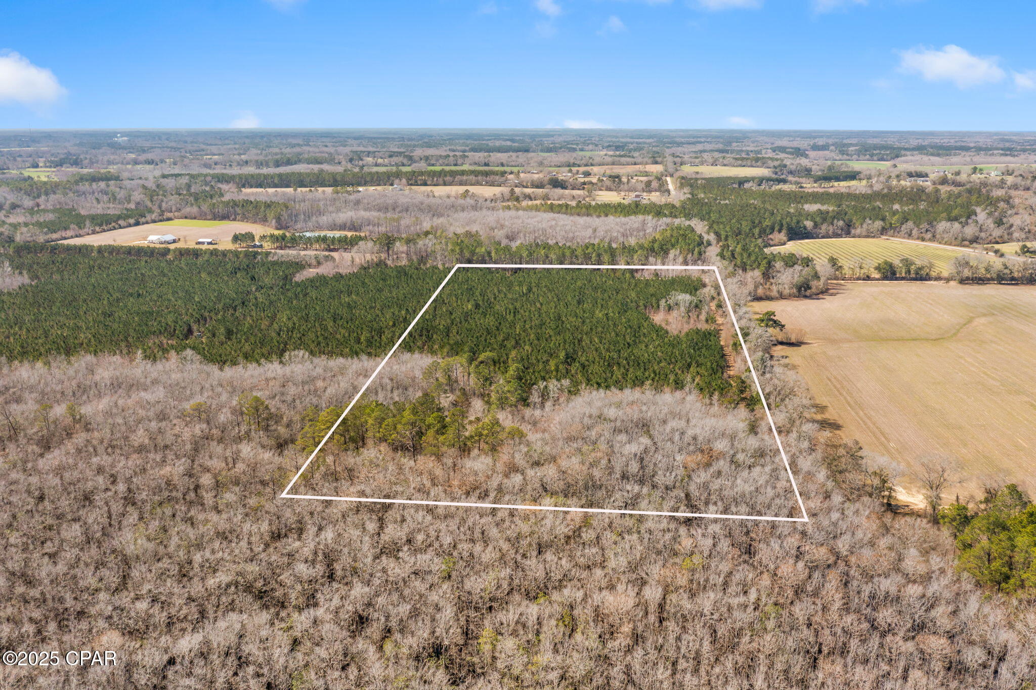 Lot 1 New Prospect Road, Chipley, Florida image 2