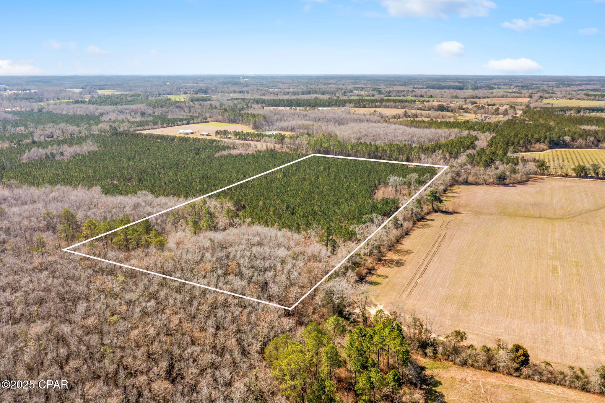 Lot 1 New Prospect Road, Chipley, Florida image 4