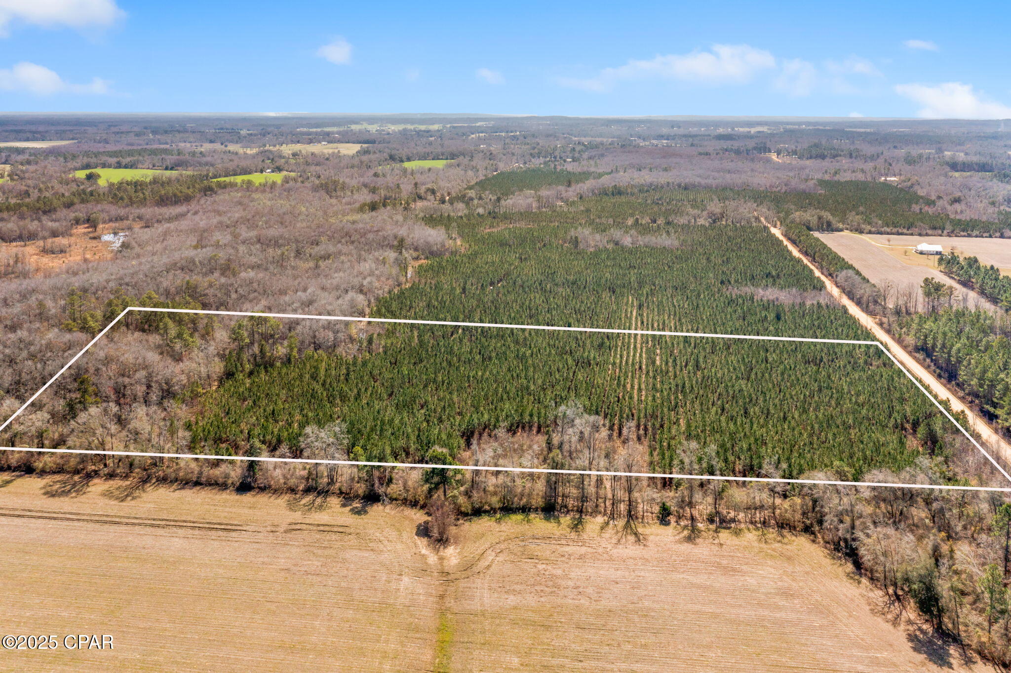 Lot 1 New Prospect Road, Chipley, Florida image 6