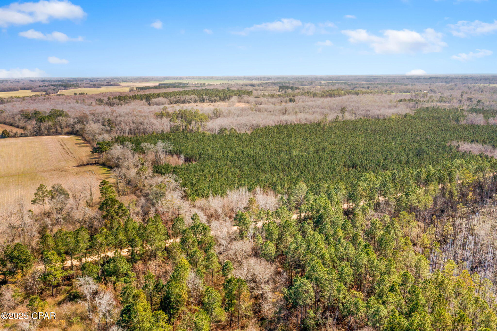 Lot 1 New Prospect Road, Chipley, Florida image 8