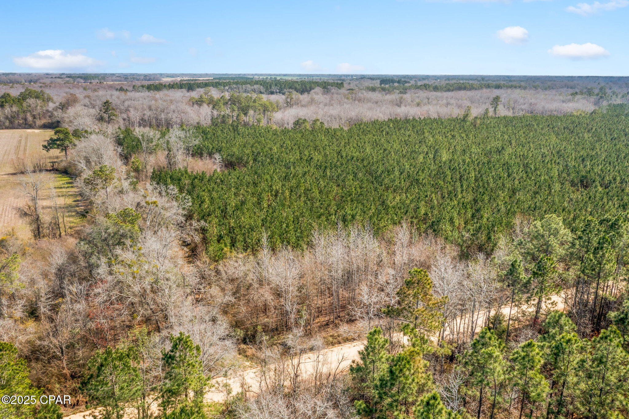 Lot 1 New Prospect Road, Chipley, Florida image 9